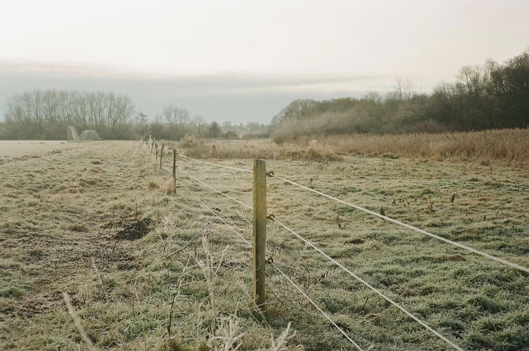 Utterslev Mose Copenhagen © Birgitte Brondsted-18.jpg