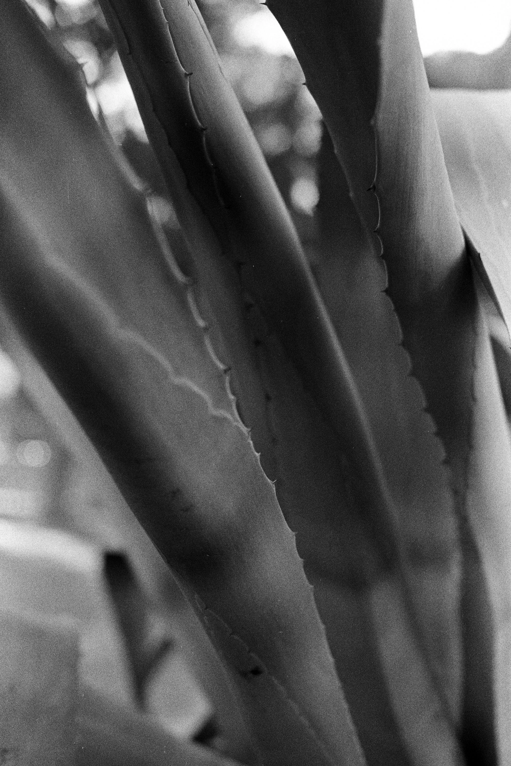 Journal © Birgitte Brondsted-14.jpg