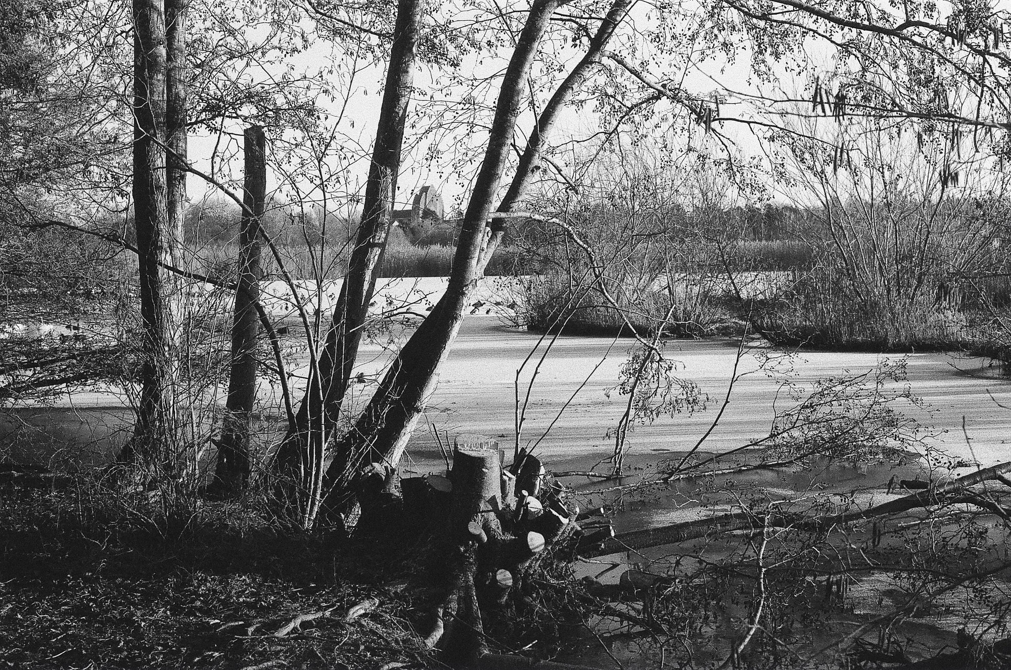 Utterslev Mose Copenhagen © Birgitte Brondsted-5.jpg