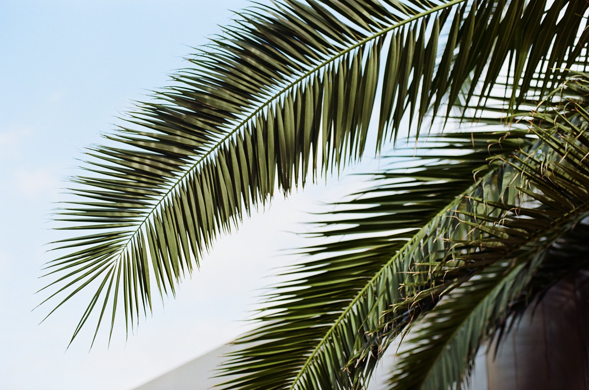 Journal © Birgitte Brondsted-2.jpg