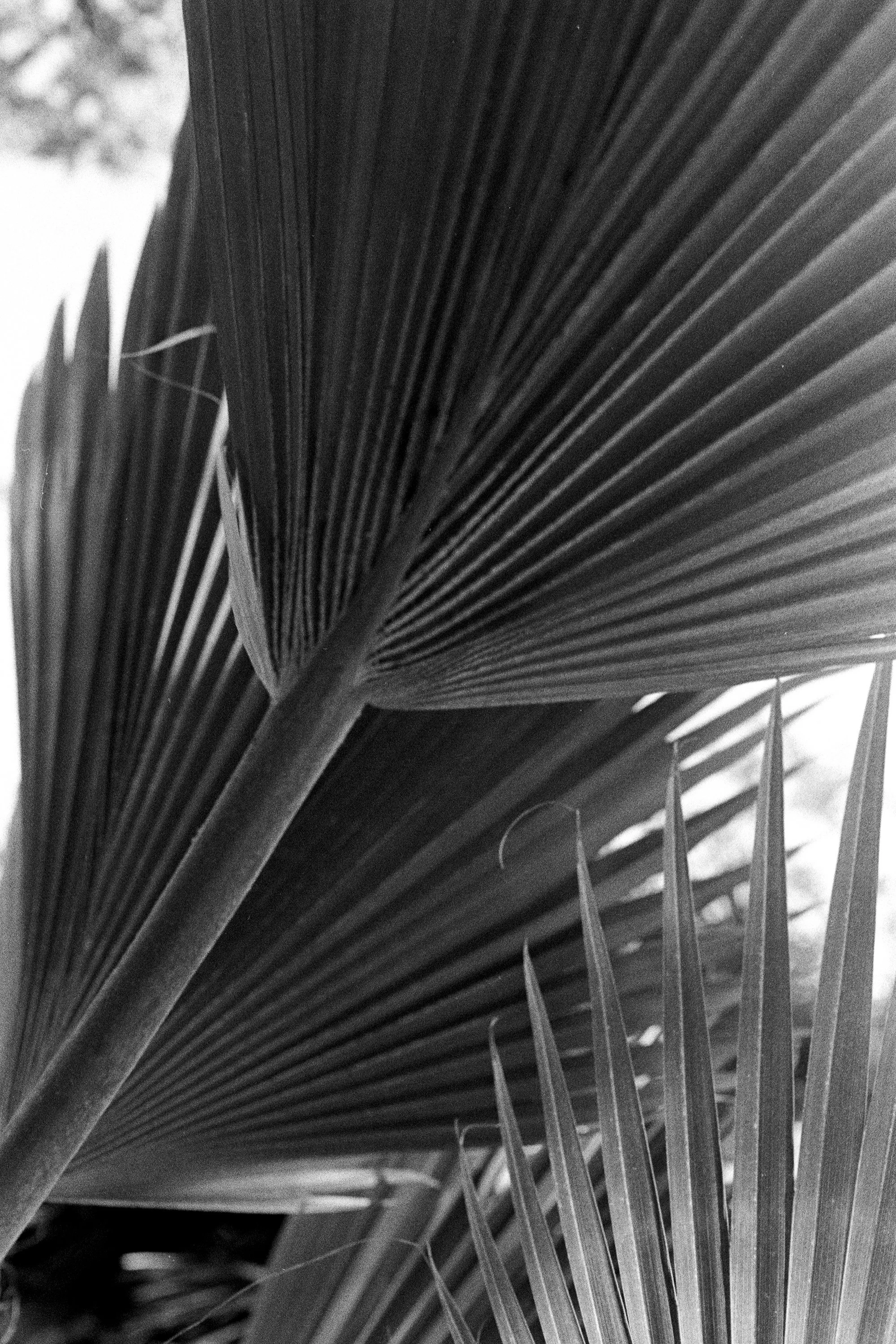 Journal © Birgitte Brondsted-15.jpg
