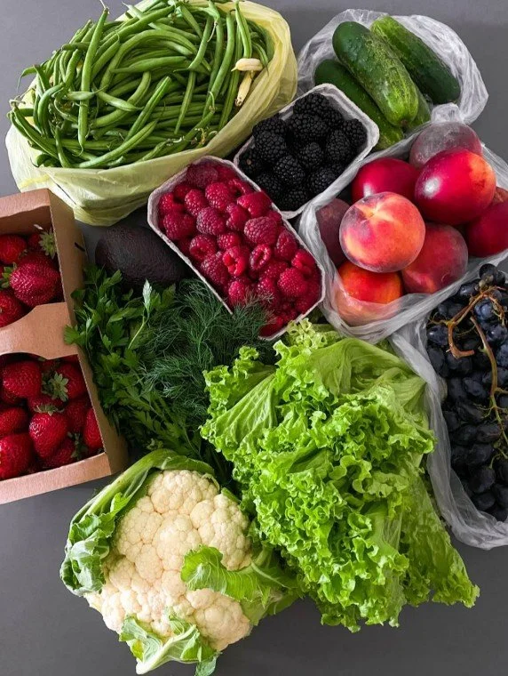 Gut Health + Nutrition