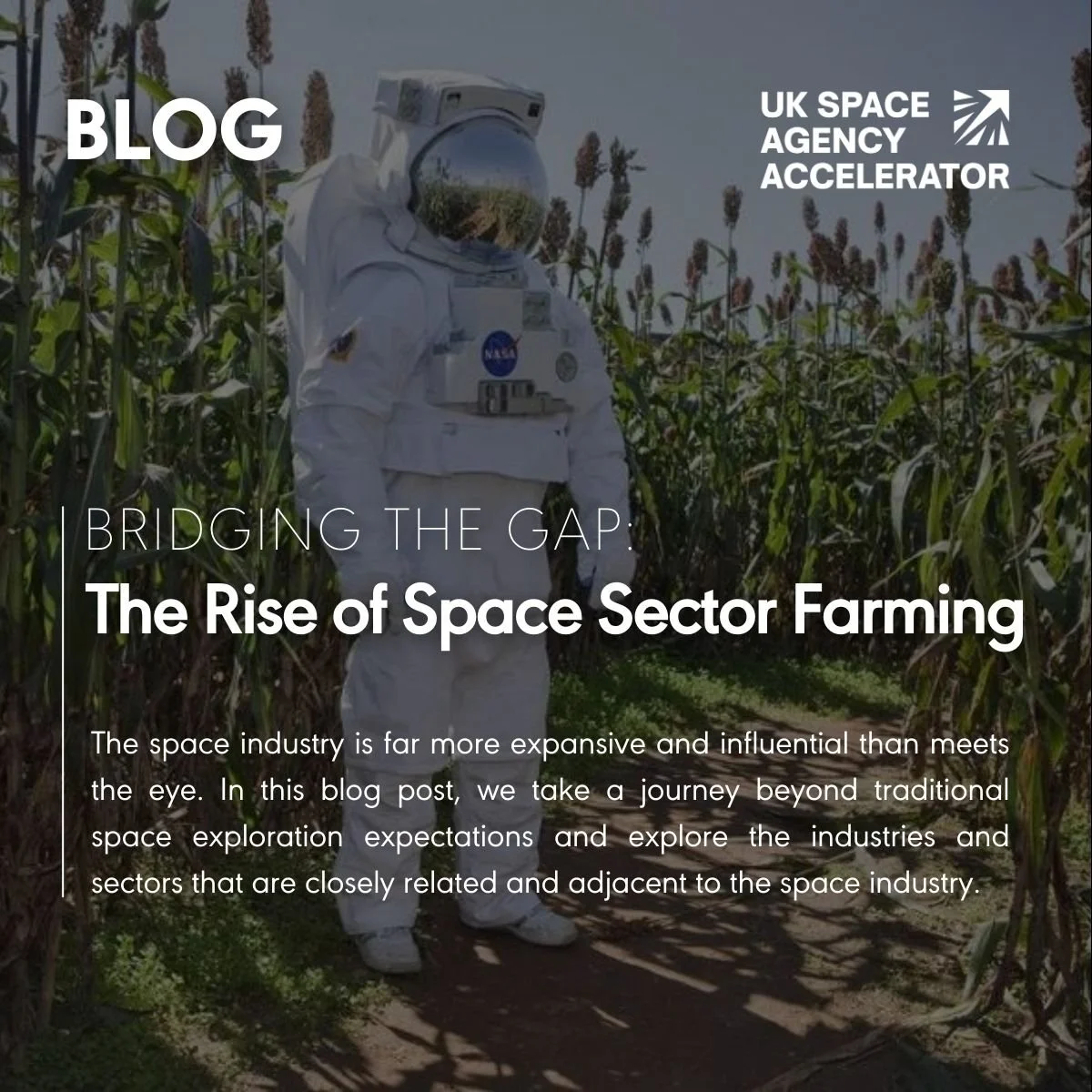 Bridging the Gap: The Rise of Space Sector Farming