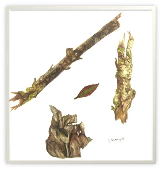 Autumn watercolours 2020