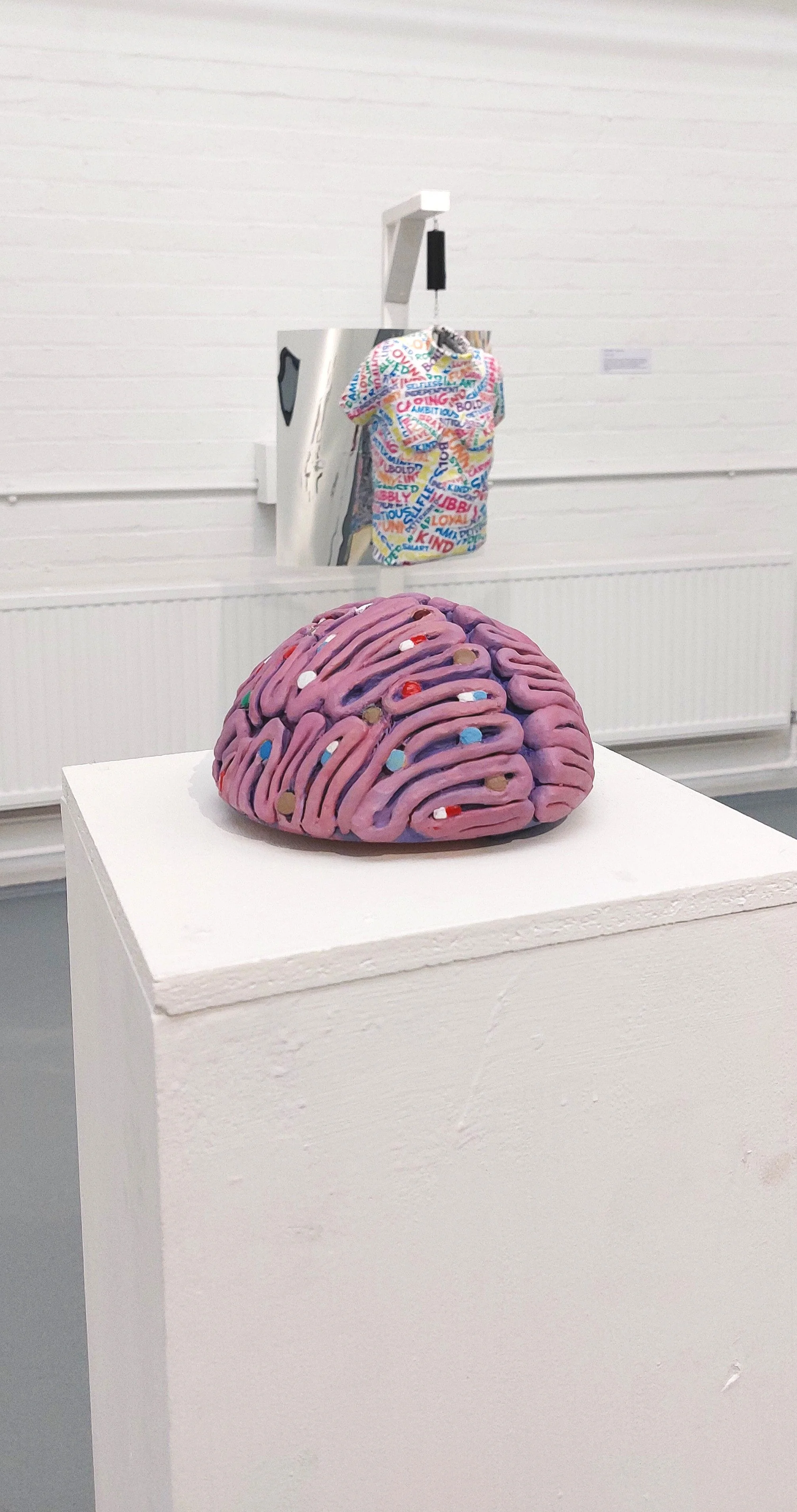 Take the Pill (2023)
Polystyrene and Clay 
In cases of serious mental illness, medications play an important role in stabilising and relieving severe symptoms. Through the advancement of medication, scientists have investigated how medication can sup