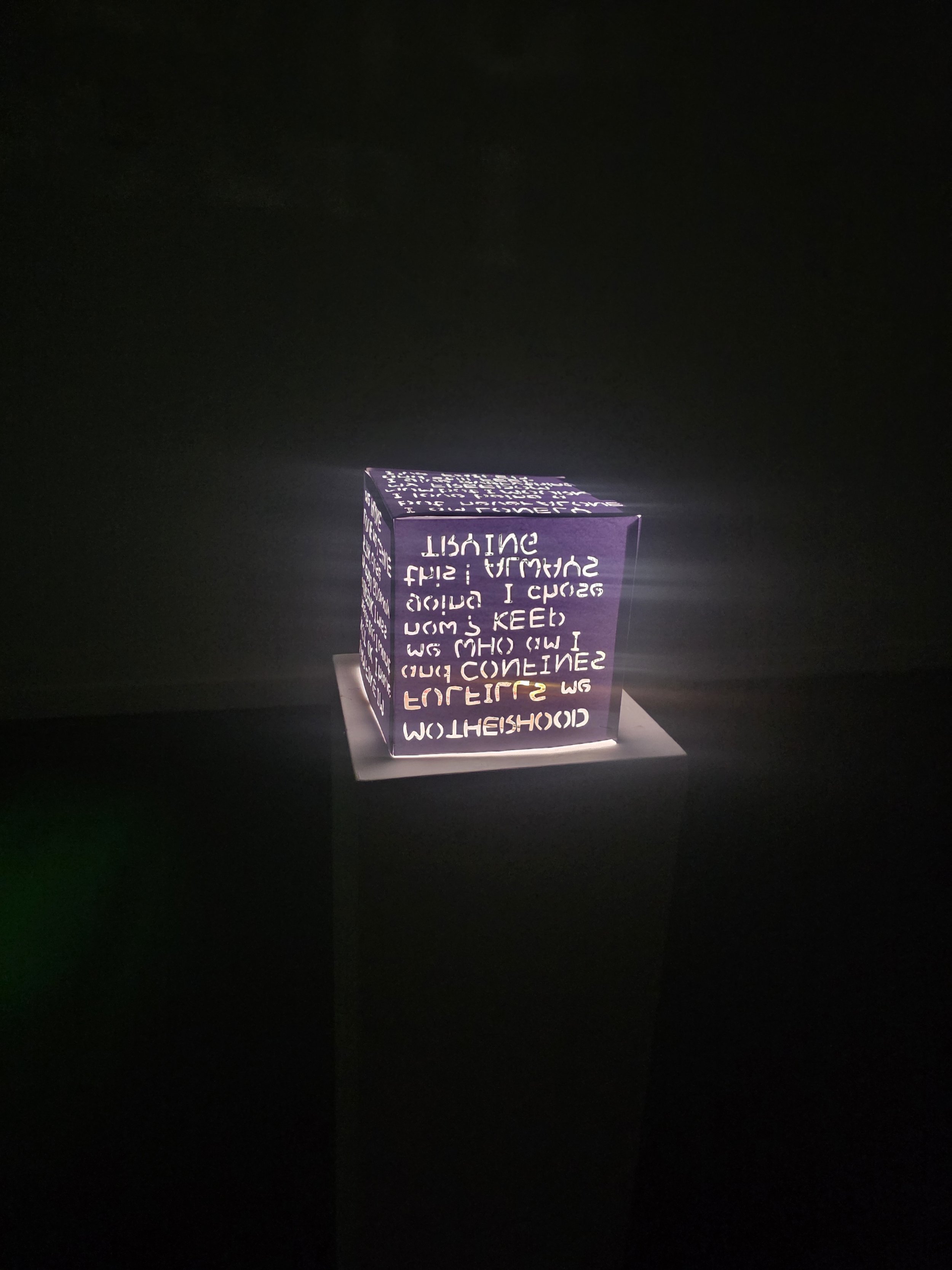 Maternal thoughts light box 2025