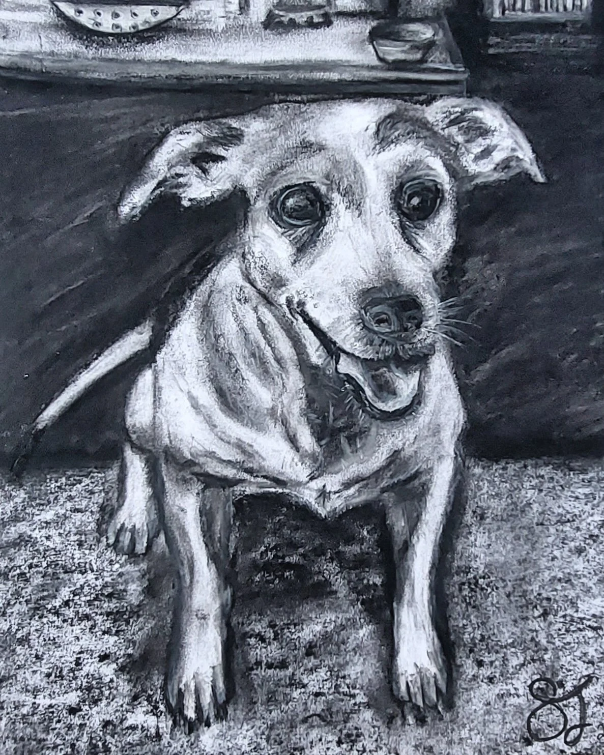 Jack Russel charcoal 2022