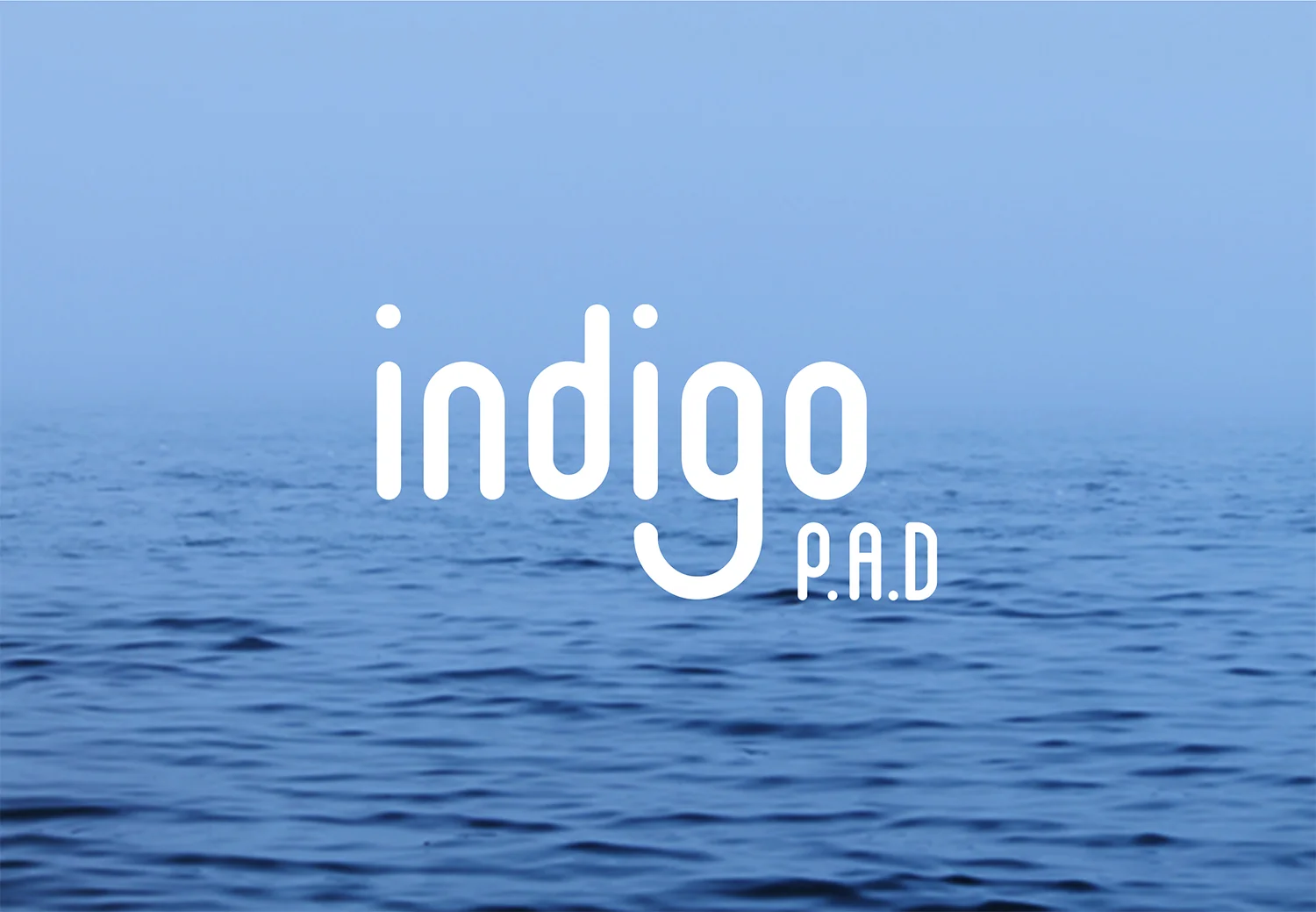 Indigopad2.jpg