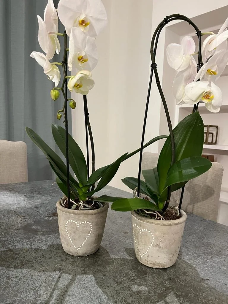 76529f99-d4ff-4b6f-ba94-2252700c3603 4.JPG