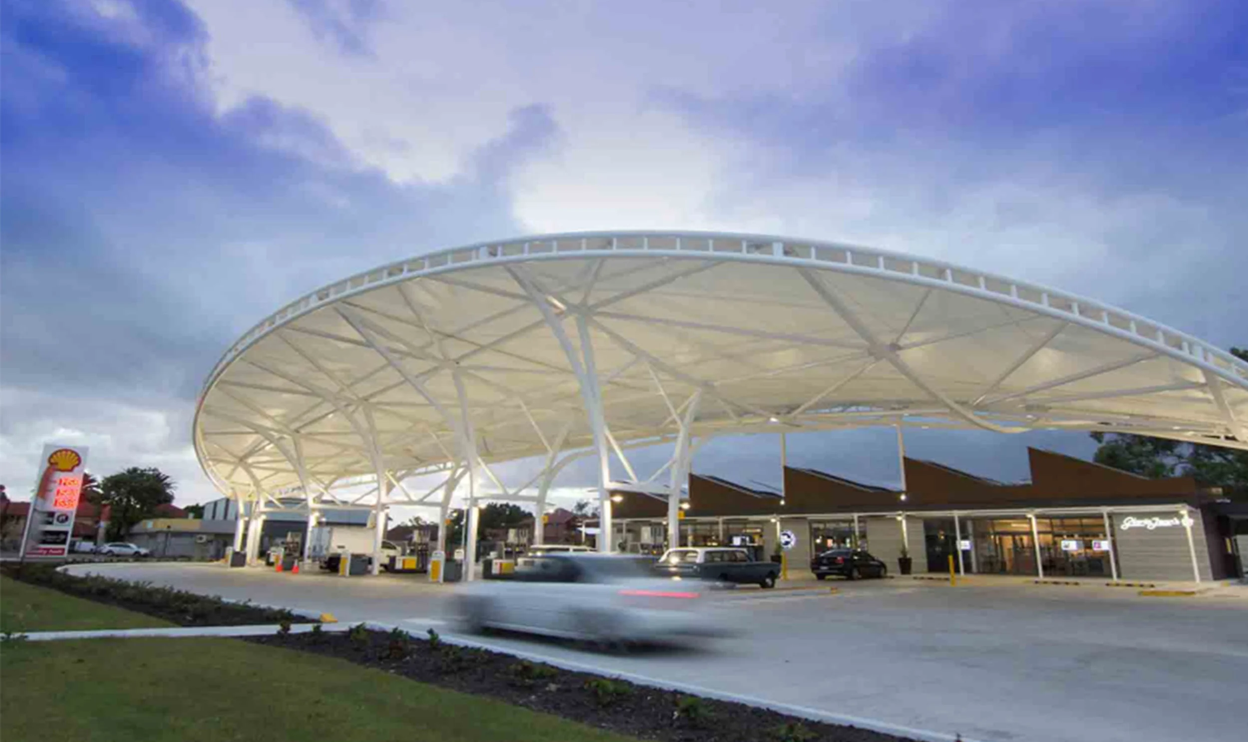 Shell8.jpg