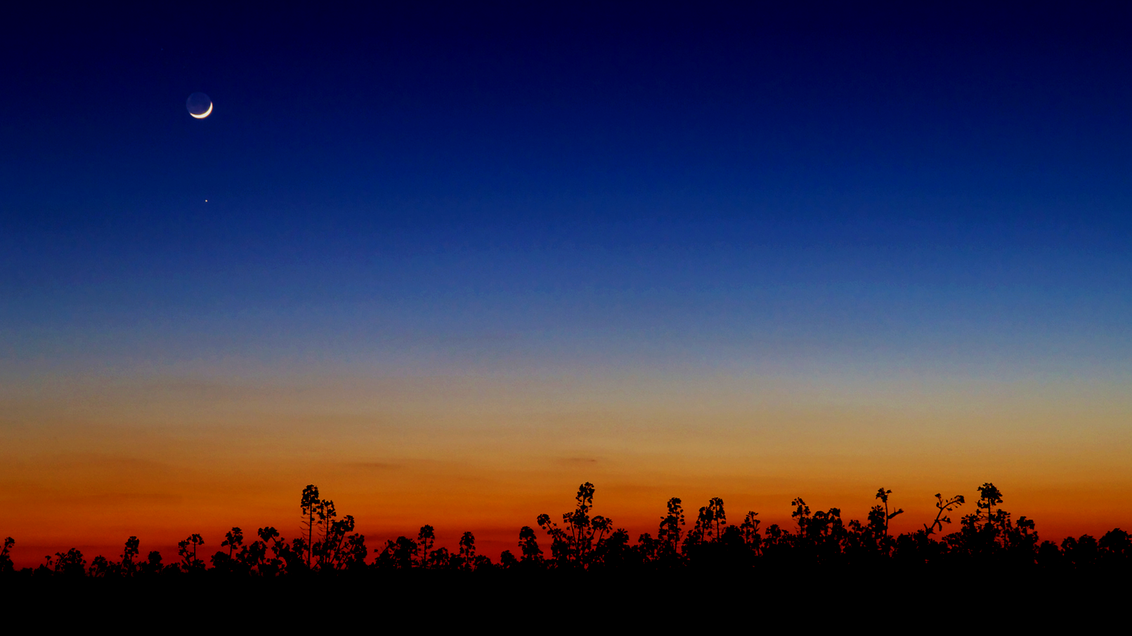 A sunset landscape with a gradient sky transitioning from orange near the horizon to deep blue upwards, dark silhouettes of trees in the foreground, and a waxing crescent moon with a bright star nearby in the sky.