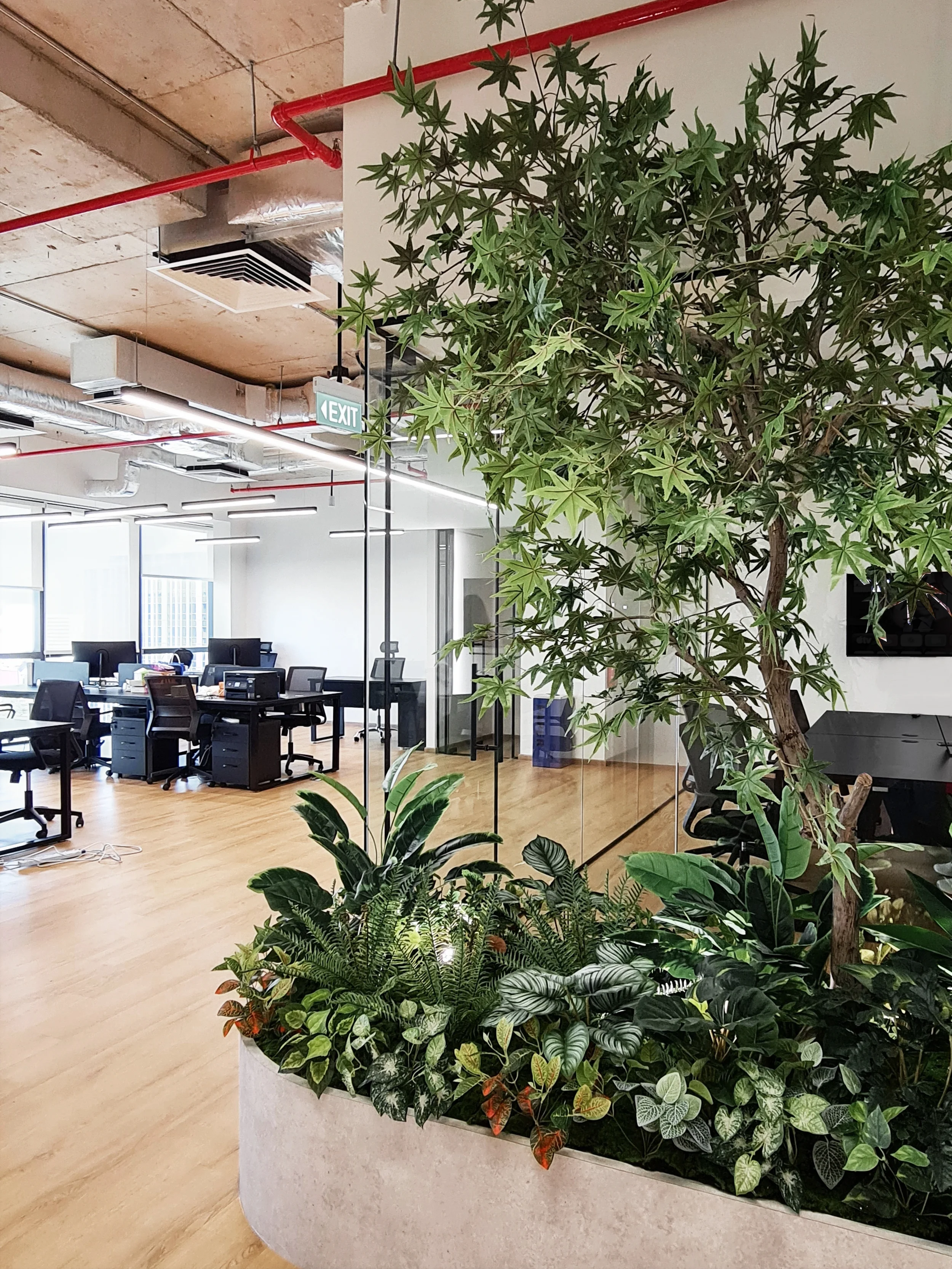 Indoor office space with plants in a large planter, glass wall, desks, chairs, and ceiling with exposed pipes and light fixtures.