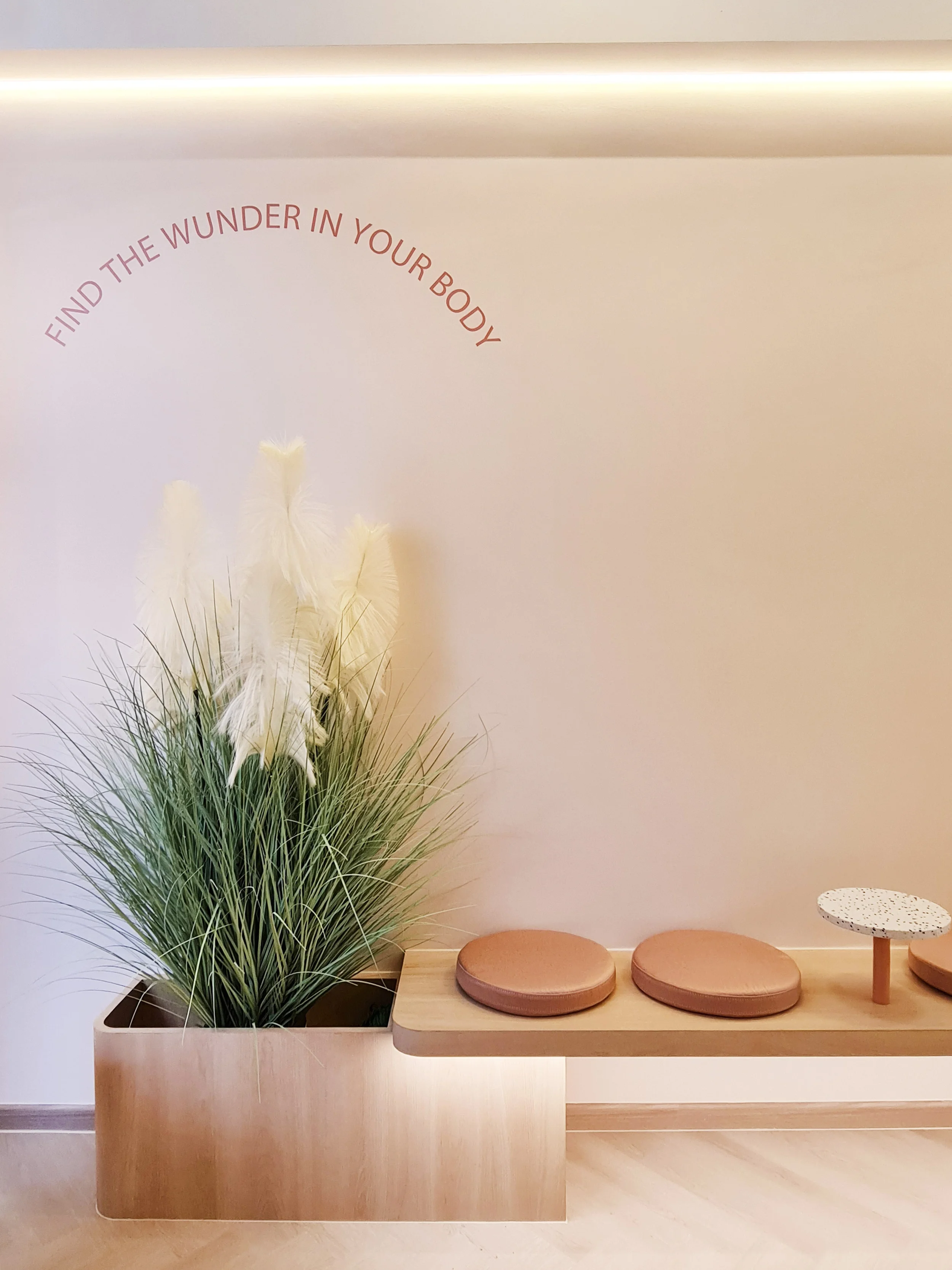 Minimalist interior with a large potted green plant with white feathers, a wooden bench with three round cushions, and a small speckled table.