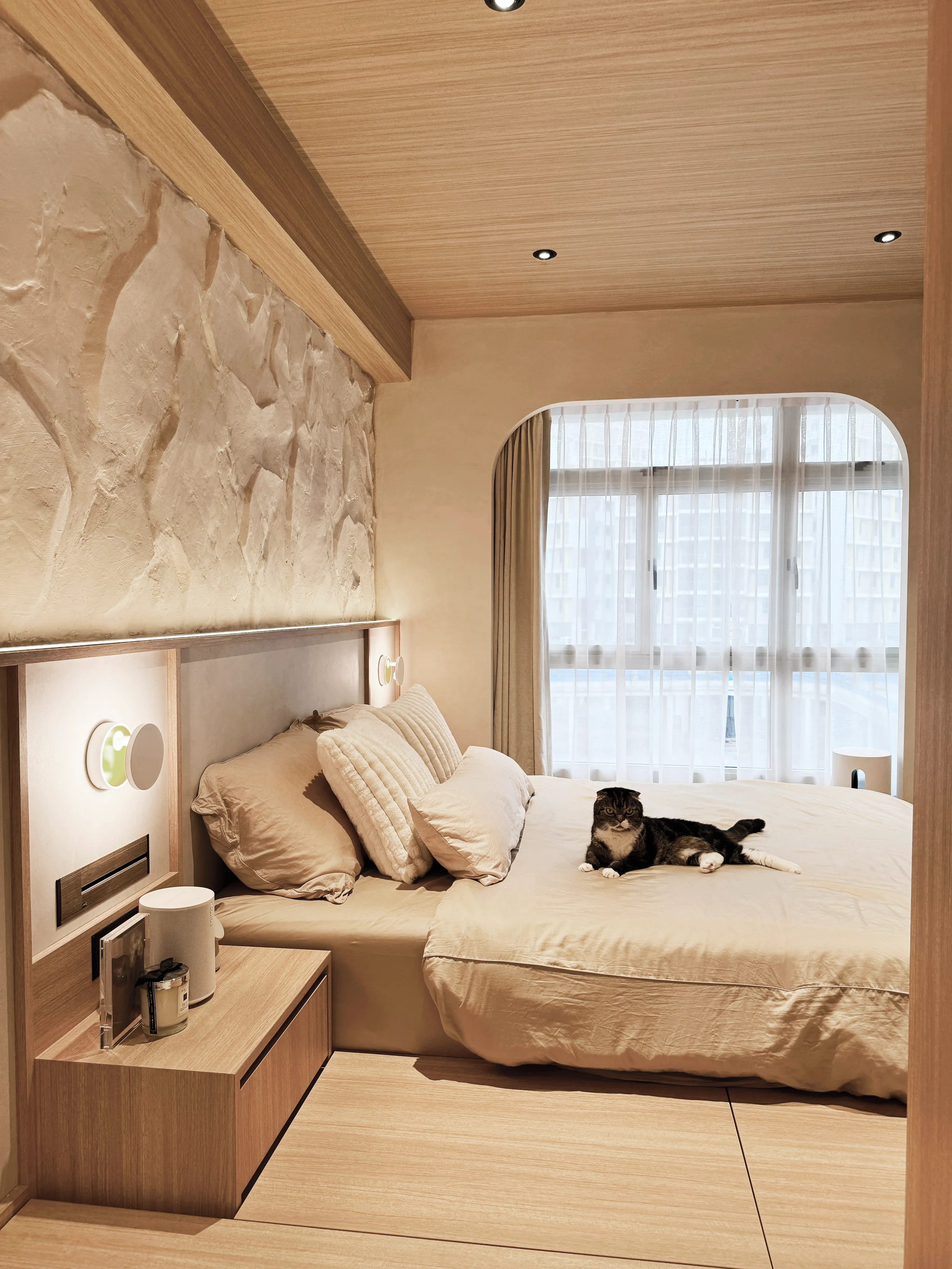 A bedroom with a large bed, beige bedding, and pillows. A black and white cat is lying on the bed. There is a window with sheer curtains behind the bed, and the room has wooden ceilings and walls.