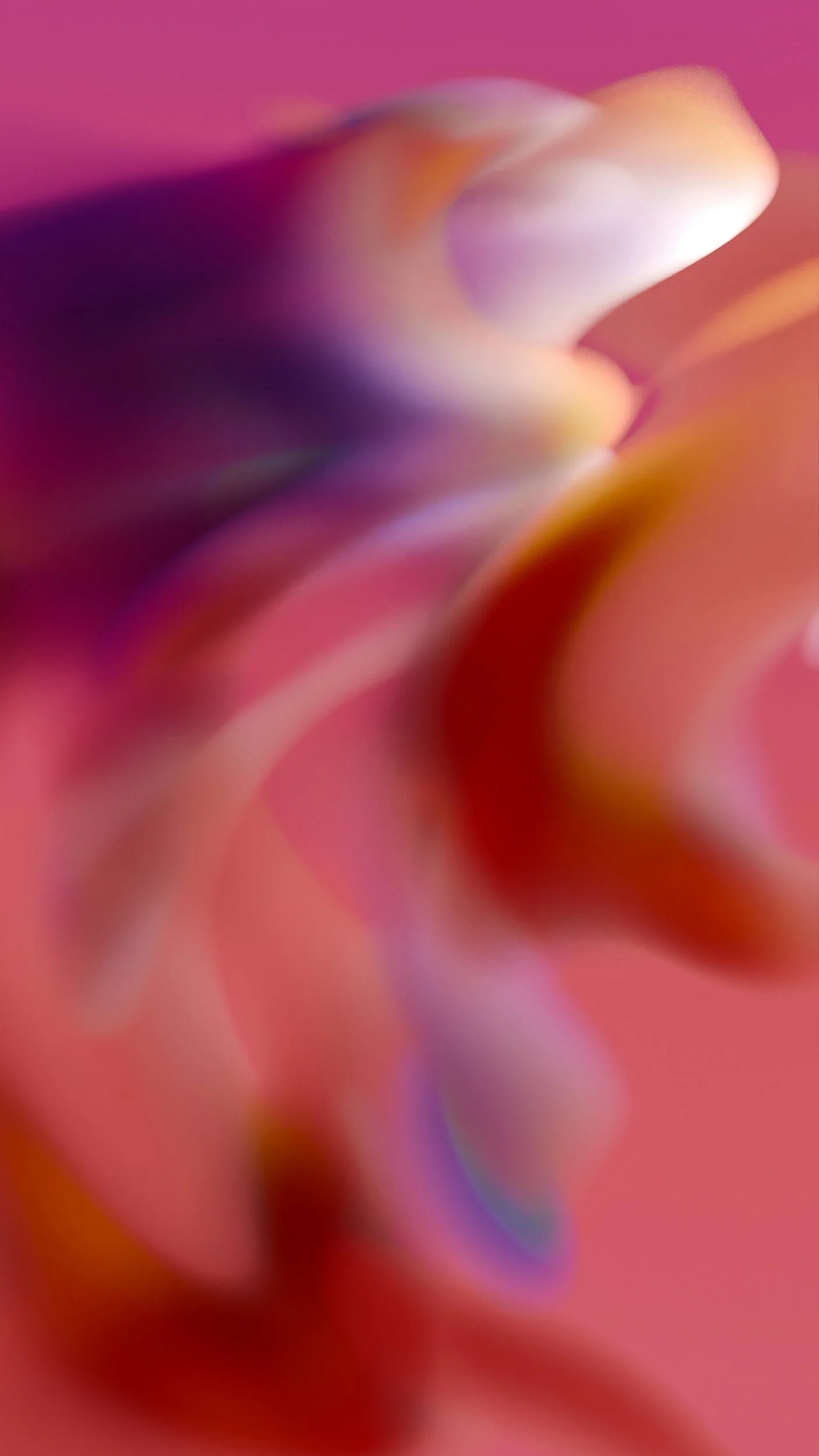 Abstracte close-up van kleurrijke, vervaagde bloemvormen in roze, paars, geel en blauw.