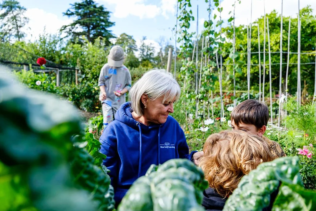 A new chapter: HDH Wills Trust commits three years to children's outdoor learning