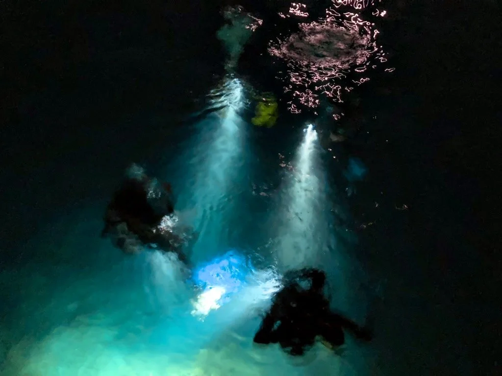 Scuba Diving -             Into the Blue