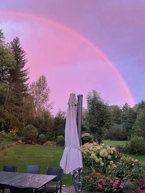A backyard garden scene during sunset with a rainbow in the sky, decorated with trees, shrubs, and flowers, and a closed patio umbrella over a table.