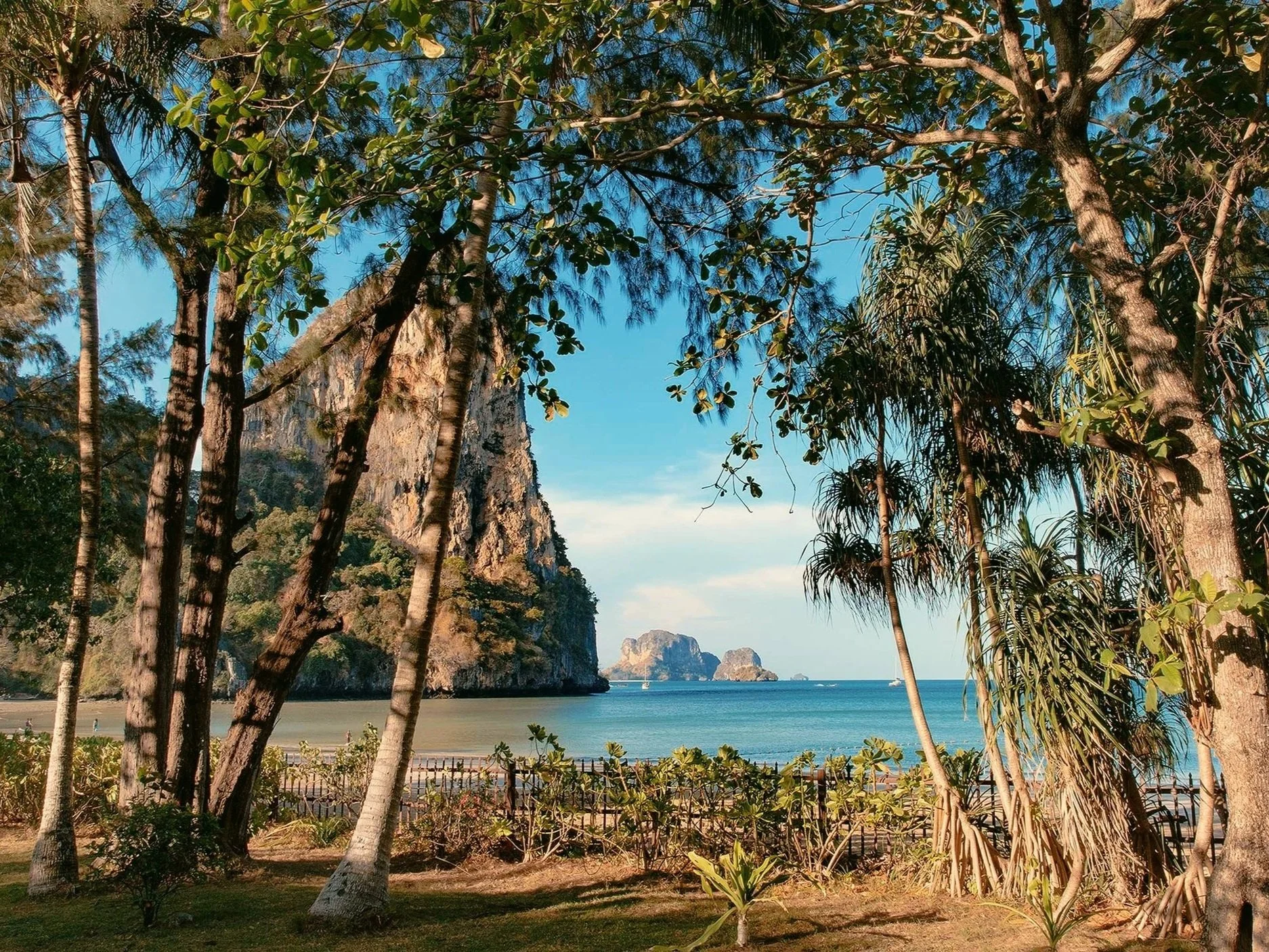 Tropical landscape with tall trees in foreground, sandy beach with wooden fence, blue ocean, and limestone cliffs in the background under a clear sky at Railay Beach, Thailand