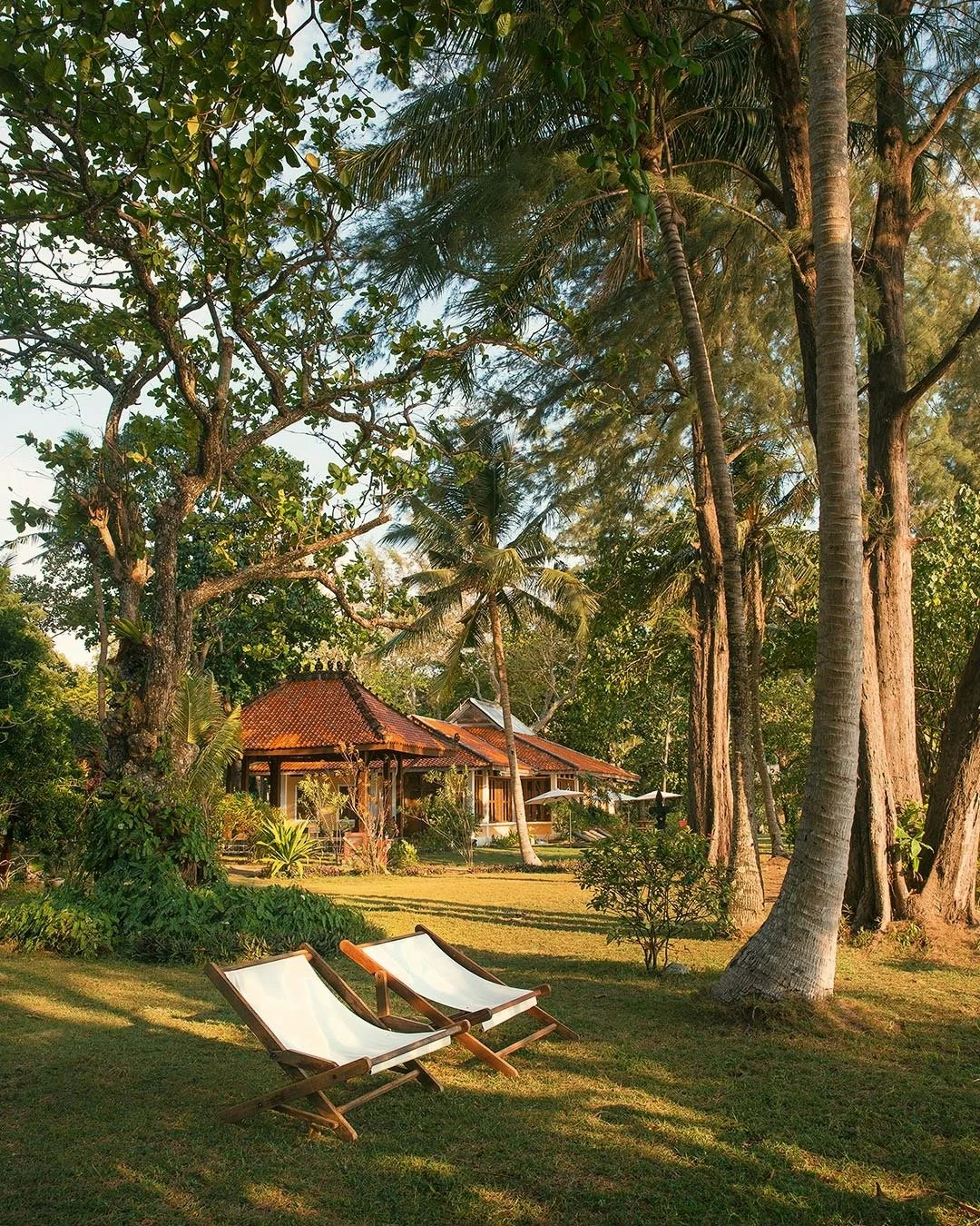 Two white lounge chairs on a grassy lawn with trees and a house in the background.