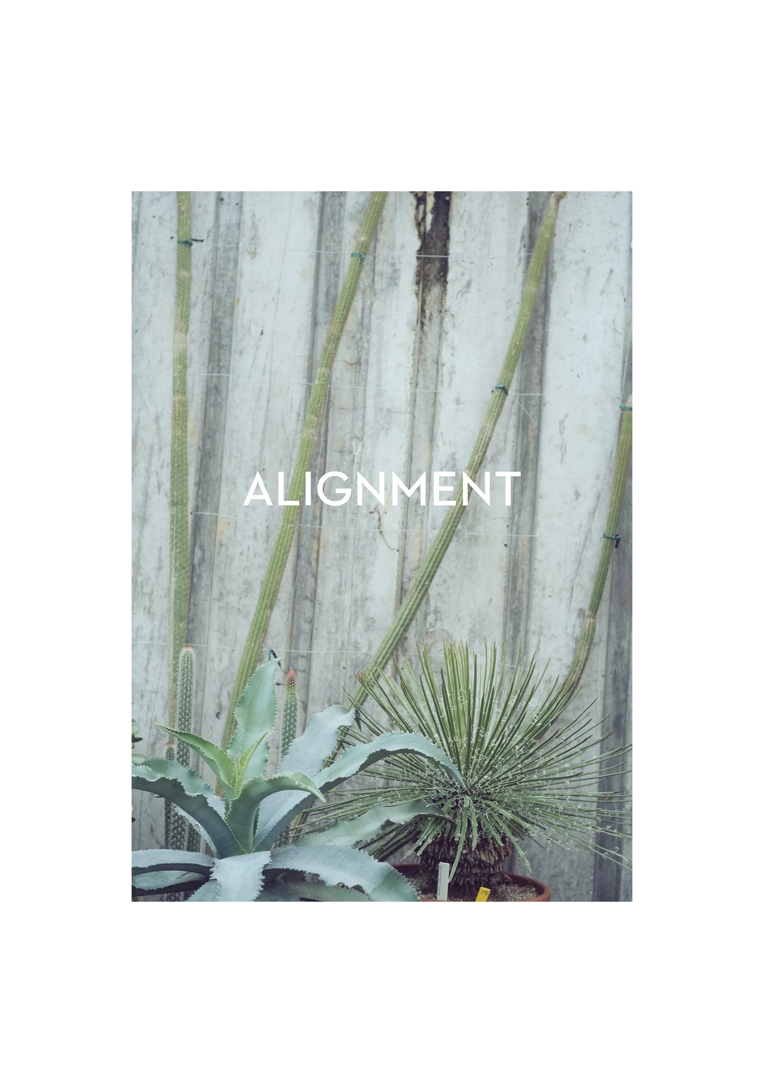 Alignment