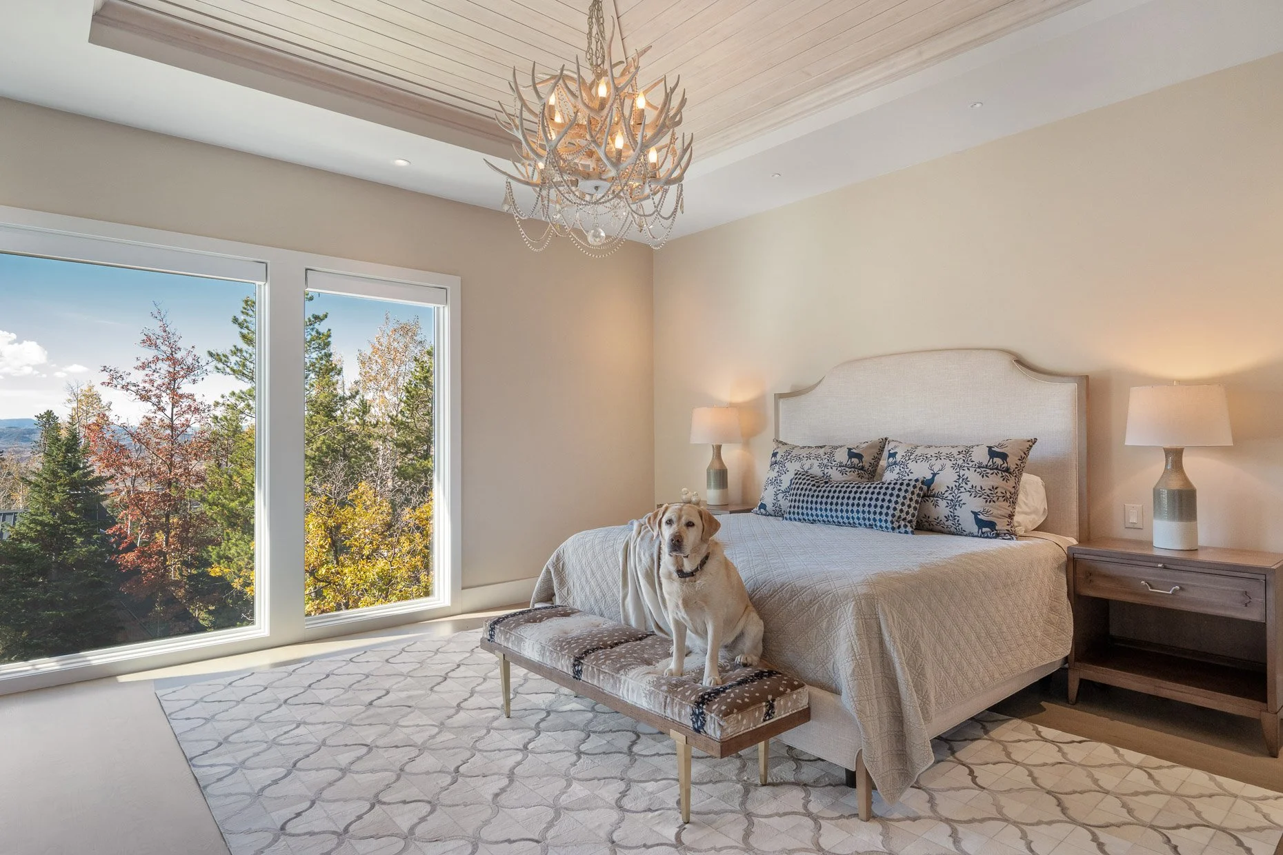 Primary bedroom with wonderful views and lab dog on bench