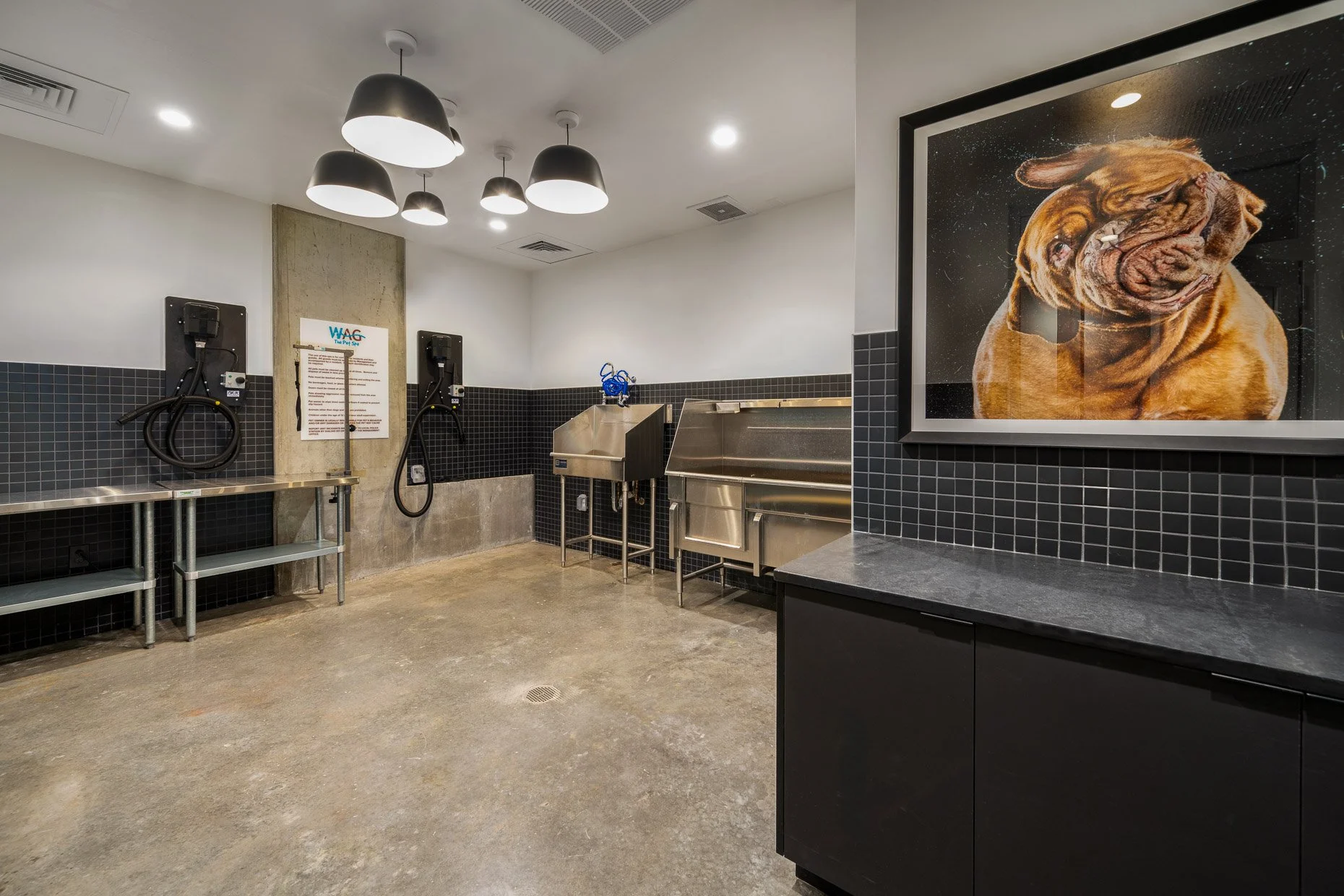 Dog wash area in newly build Avalon Bay Governors Park in Denver