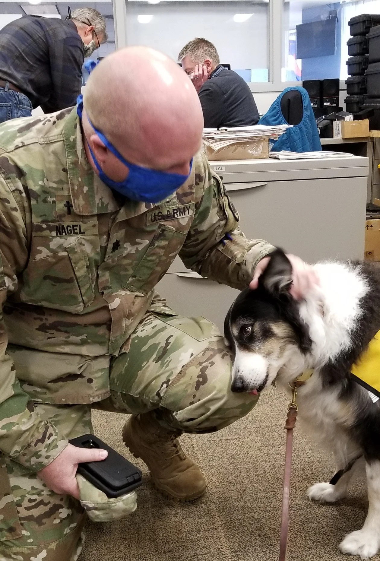A U.S. Army soldier in camouflage uniform kneeling and petting a black and white dog, with a blue mask on and office environment in the background.