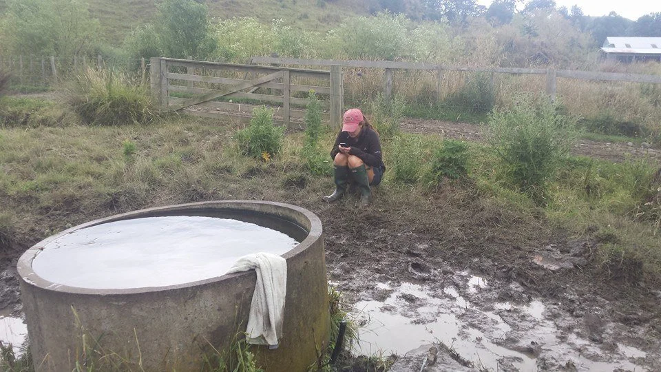 Full membership of the British Institute of Agricultural Consultants