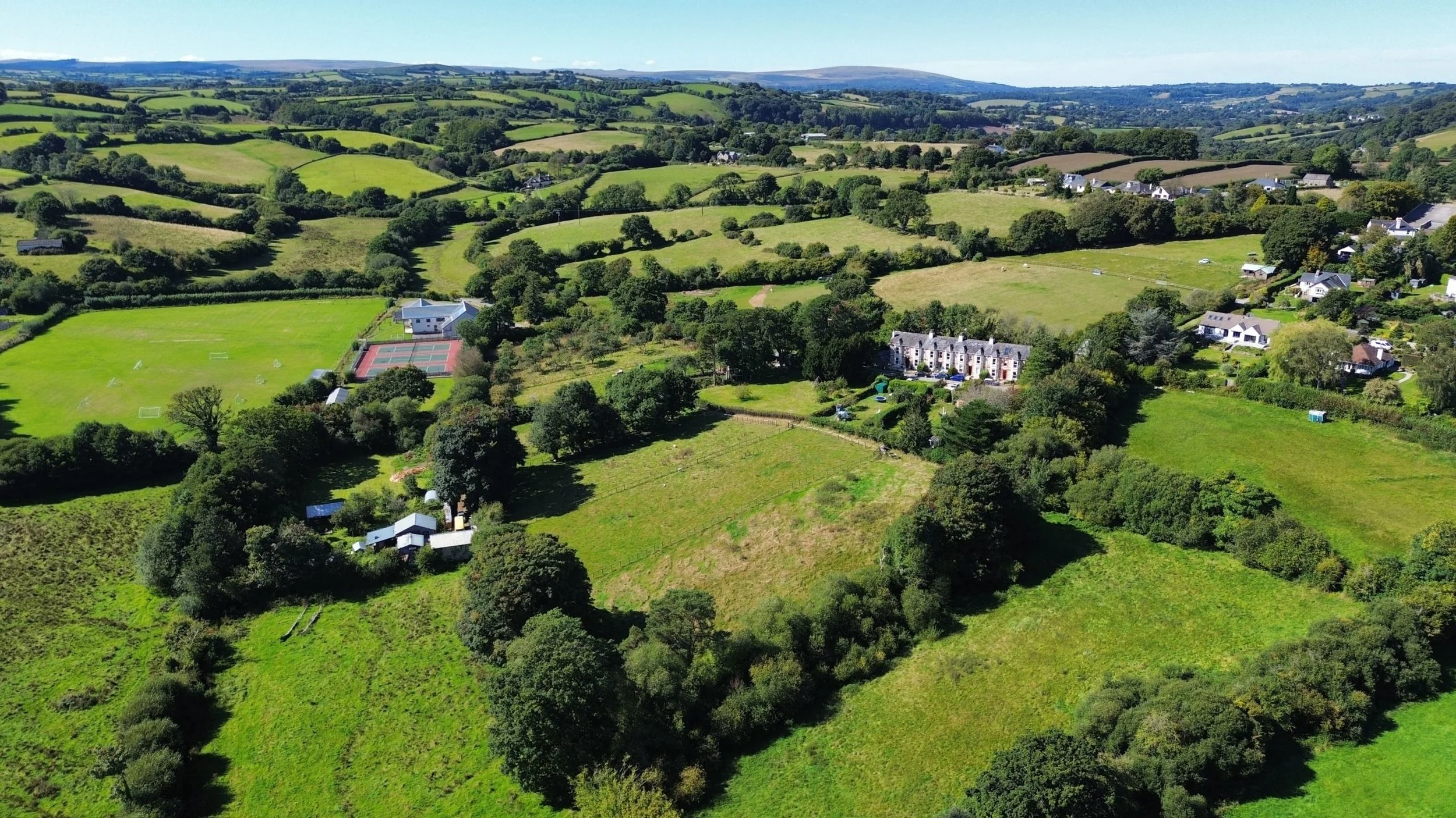 Spring Chicken to Shitehawk In One Easy Lesson