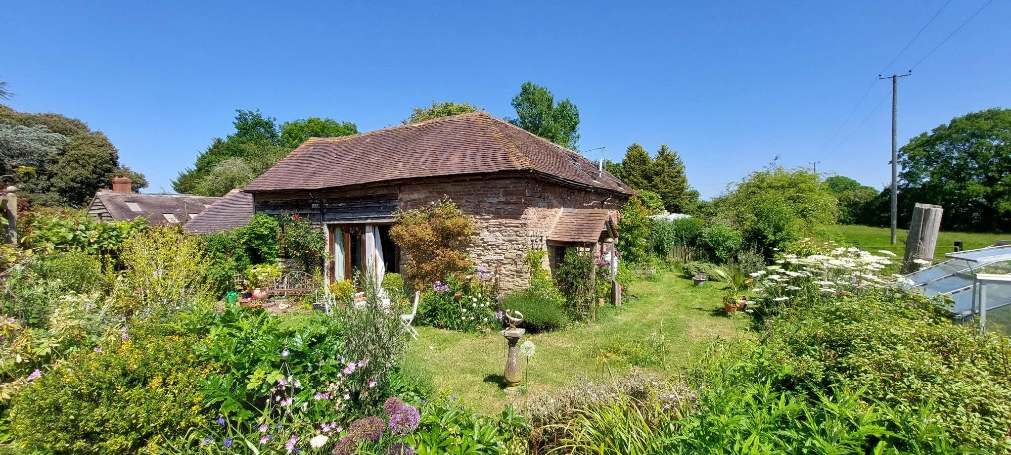 A little oasis of loveliness