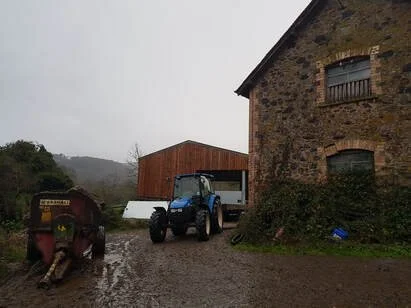 Man… Build House from Shed…