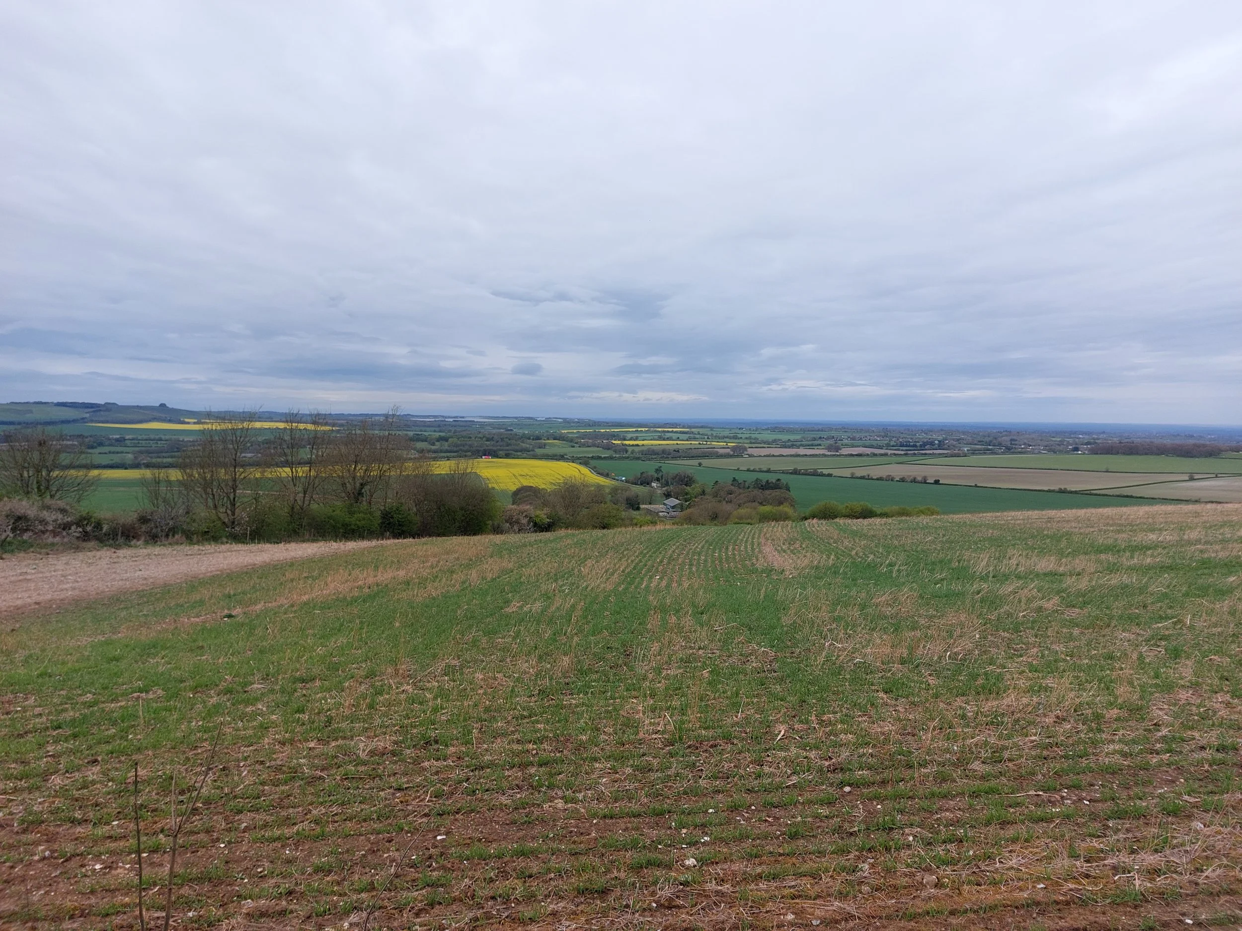 Solar panels under PD. Proper job!