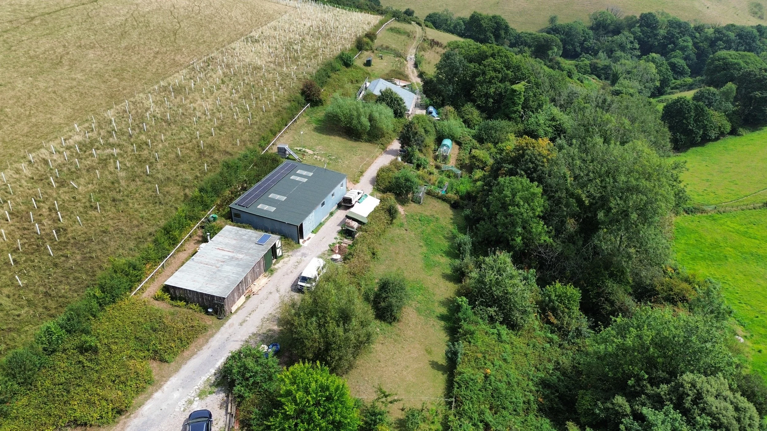 dji_fly_20250813_130902_746_1755184165305_photo_optimized.jpg