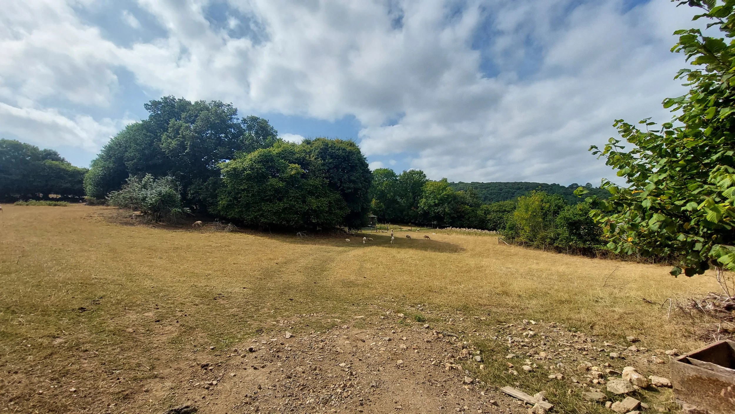 Permission Secured for Rural Worker’s Dwelling on Dartmoor