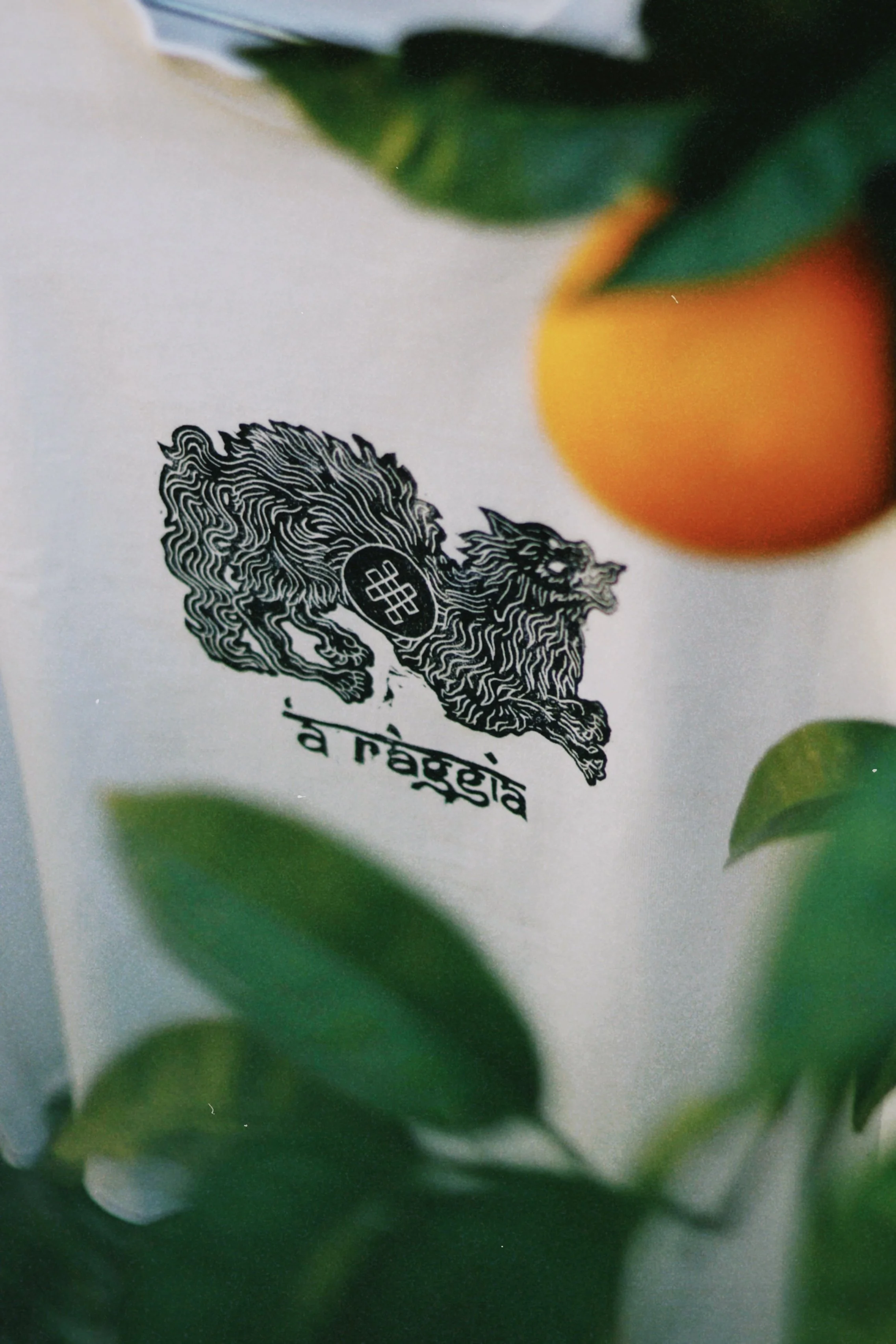 dclassic 2025-11-13 123321.671.jpg