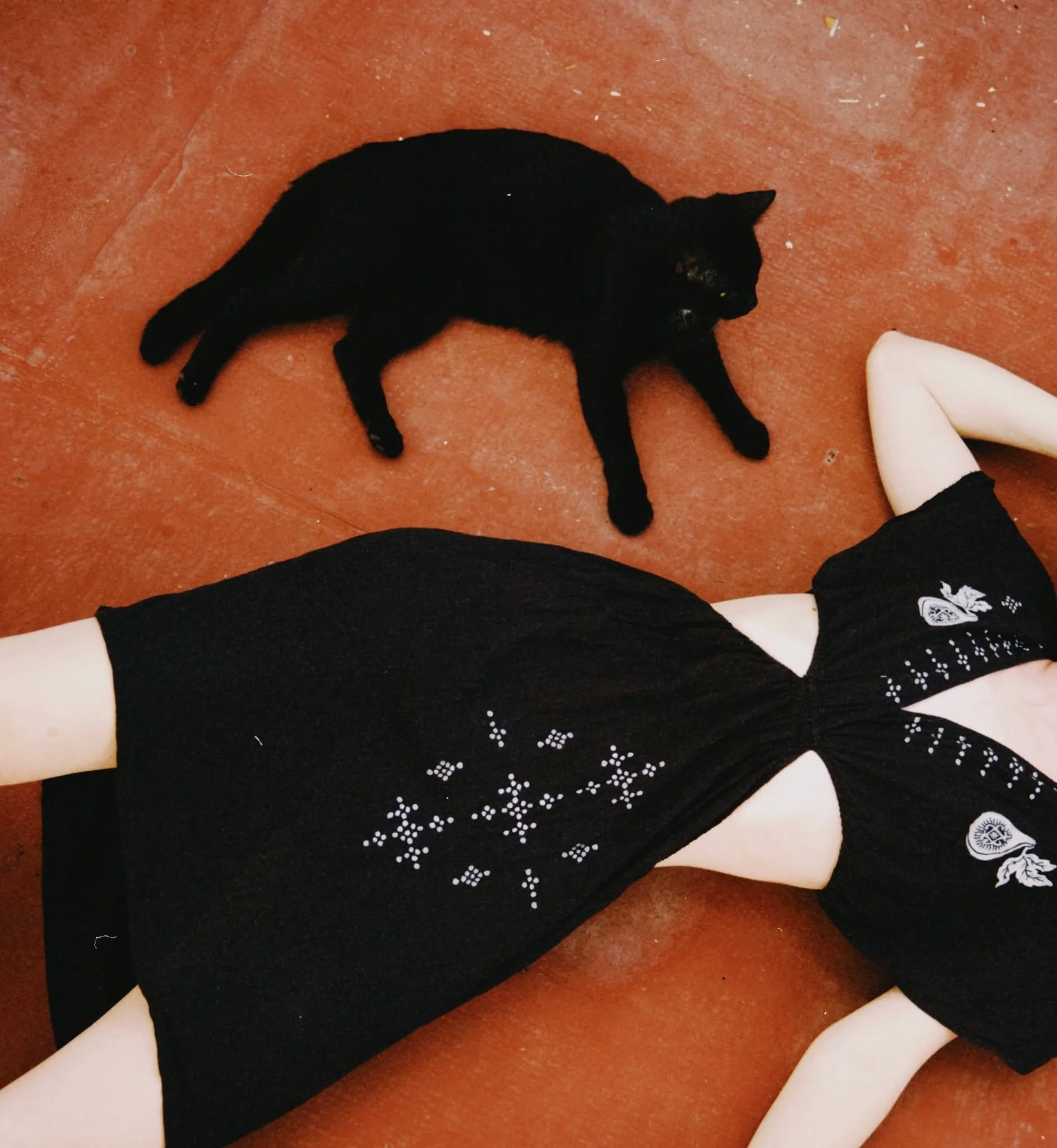 Deep into that darkness peering, long I stood there wondering, fearing,
Doubting, dreaming dreams no mortal ever dared to dream before.

It's that time of the year 🐦&zwj;⬛🎃
Hand-printed dress featuring a cat 🖤

📸 @gianlucahayes