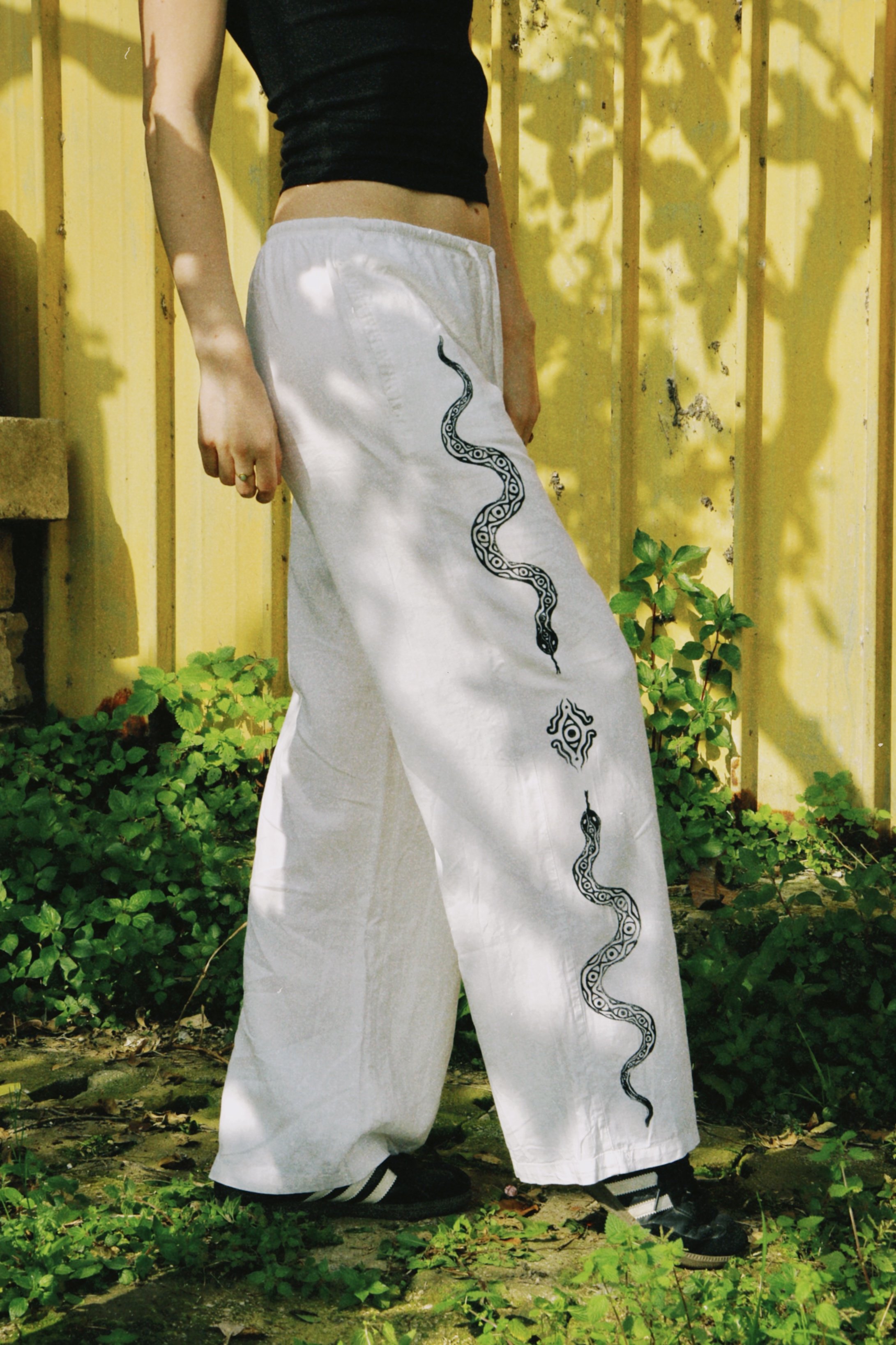 dclassic 2026-03-03 142458BCDFCB114F8A.JPG