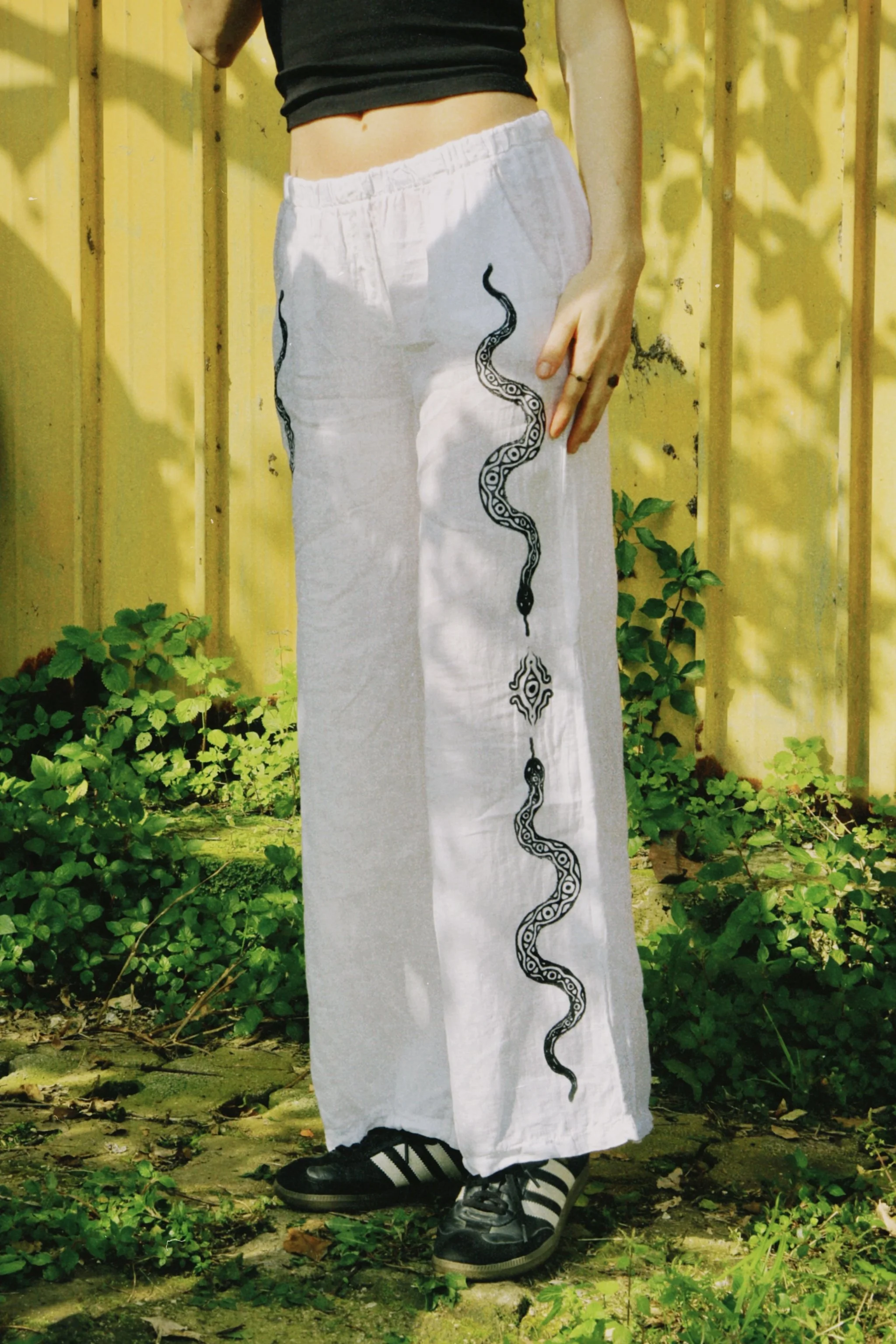 dclassic 2026-03-03 1447496E8A9C5D6BC4.JPG