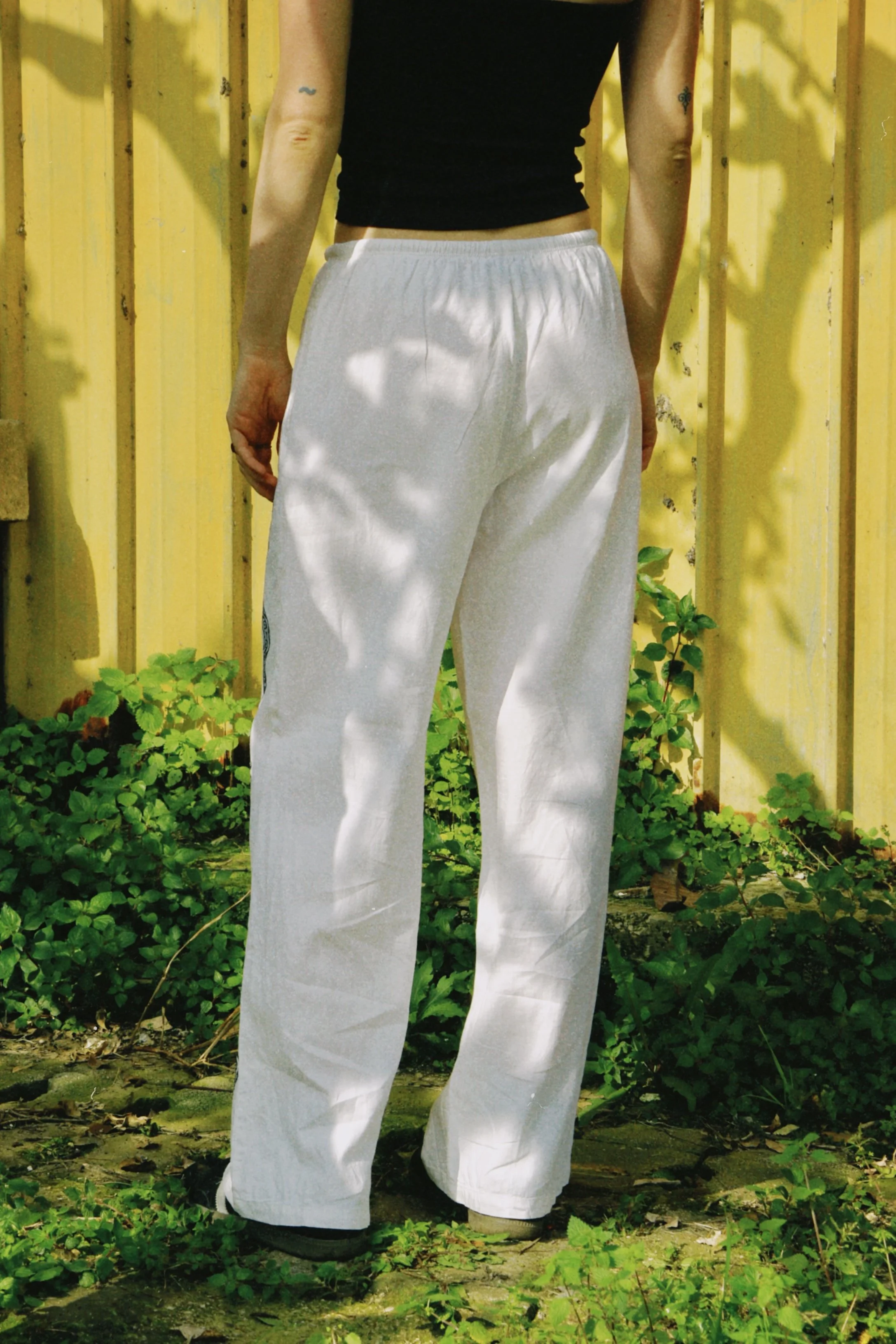 dclassic 2026-03-03 1425008F0CCB4DA23A.JPG