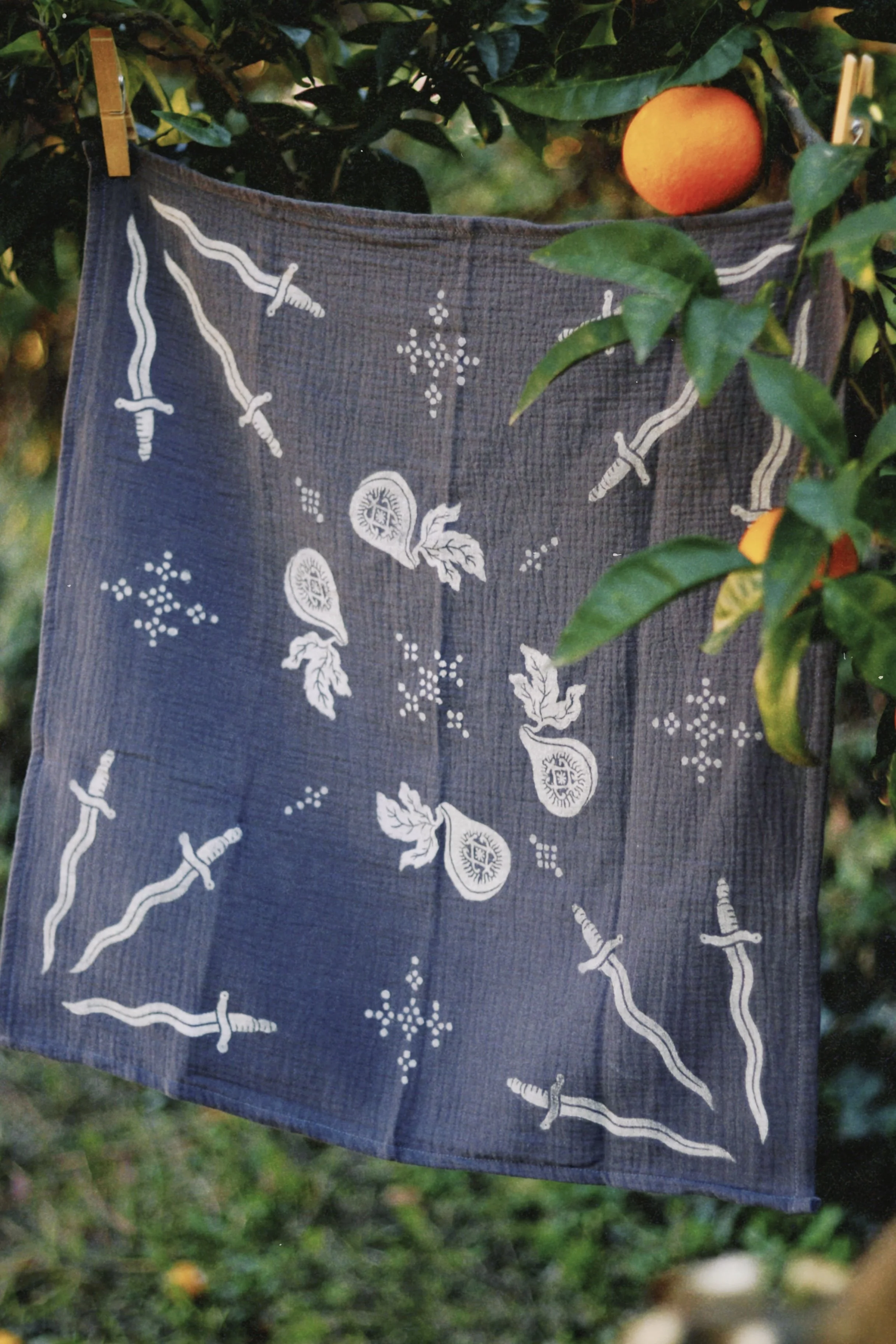 dclassic 2025-11-13 124313.081.jpg