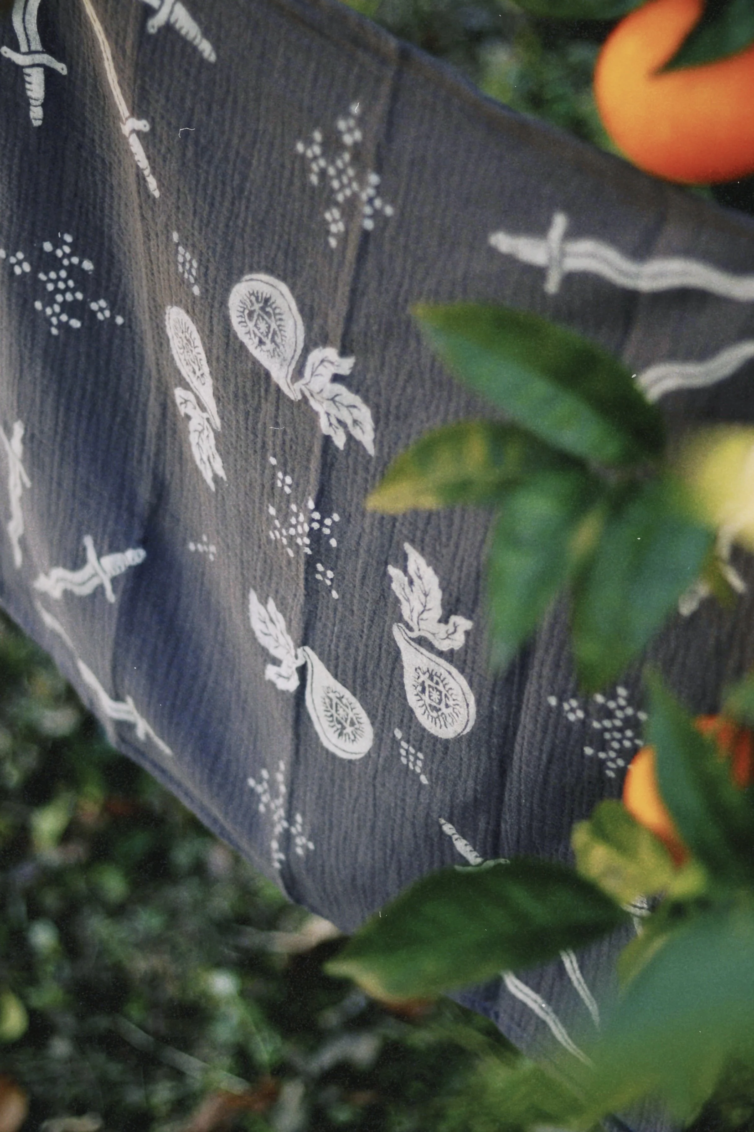 dclassic 2025-11-13 123341.036.jpg