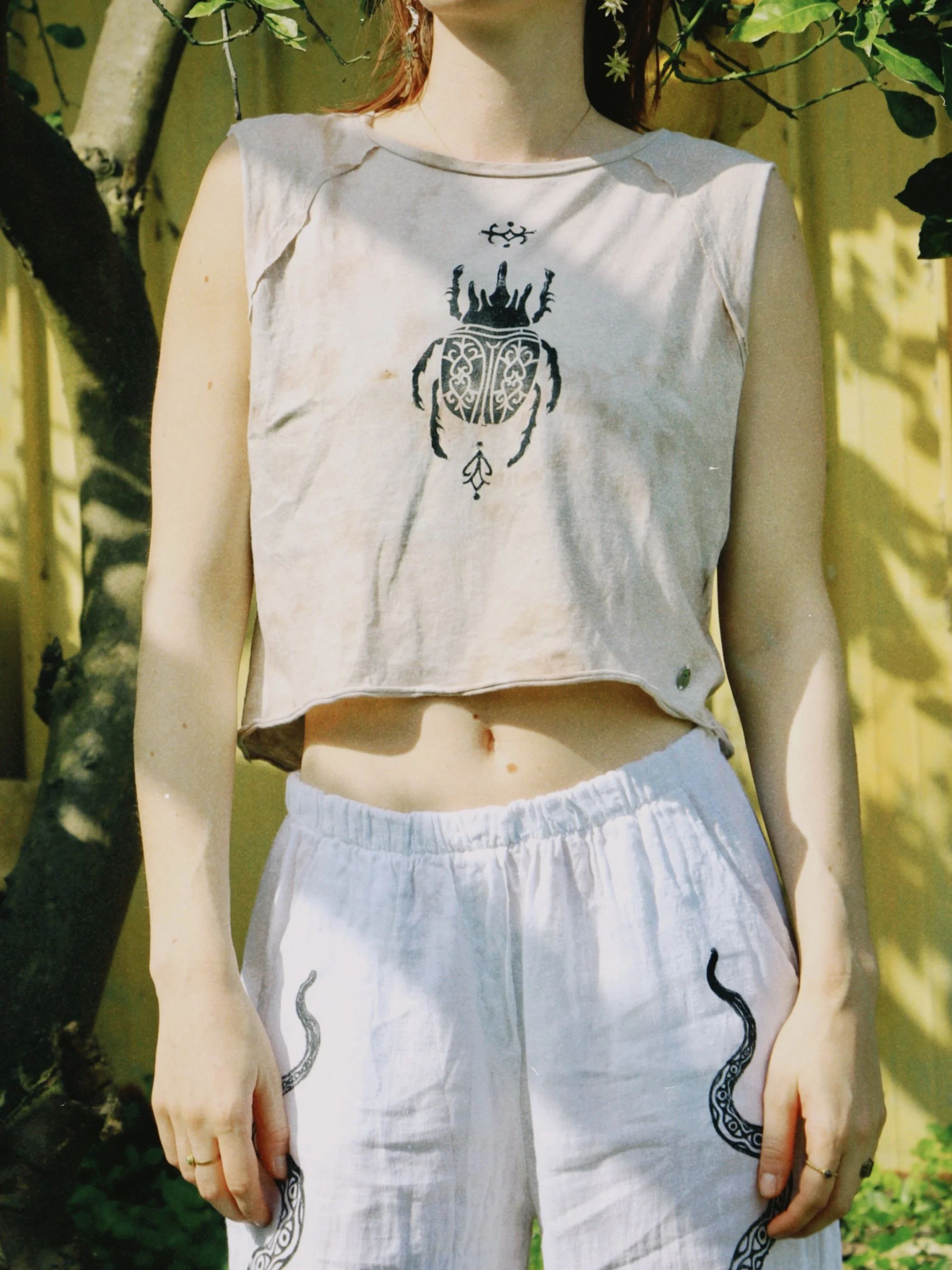 dclassic 2026-03-03 150723F415BBC9F71E.JPG