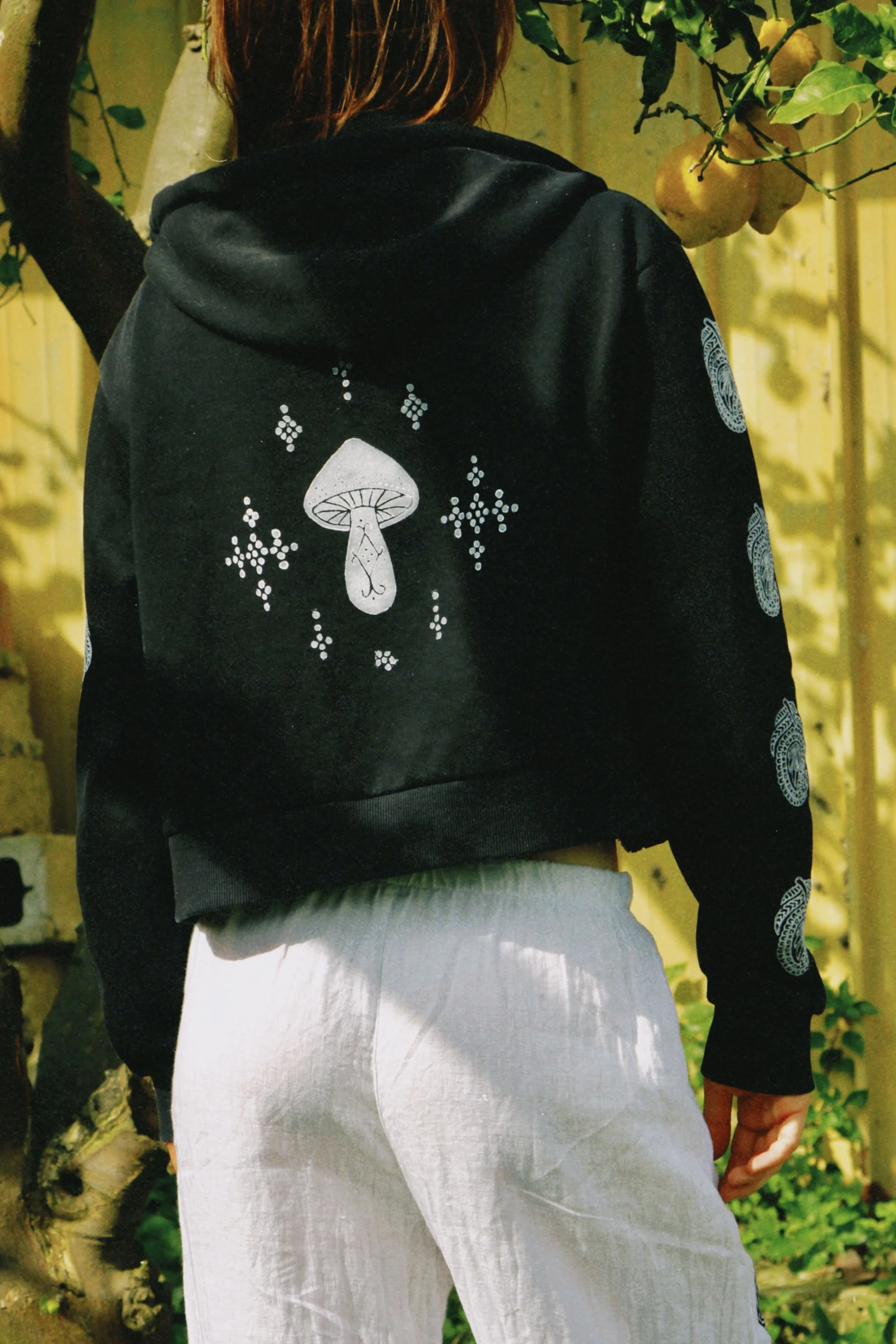 dclassic 2026-03-03 145122208F269703F3.JPG