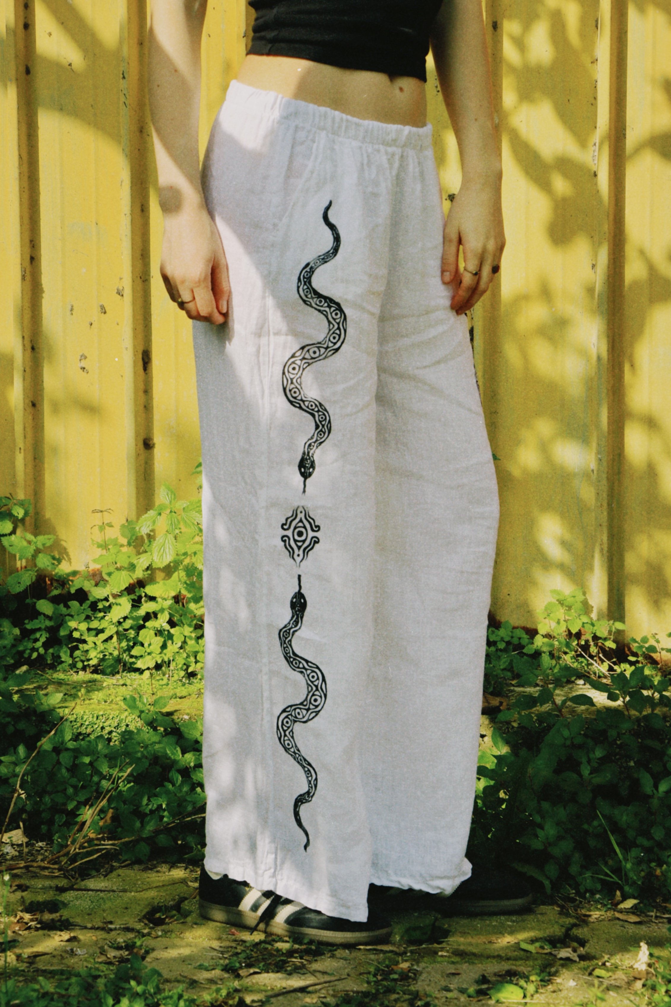 dclassic 2026-03-03 14474722F8A1FEB38A.JPG