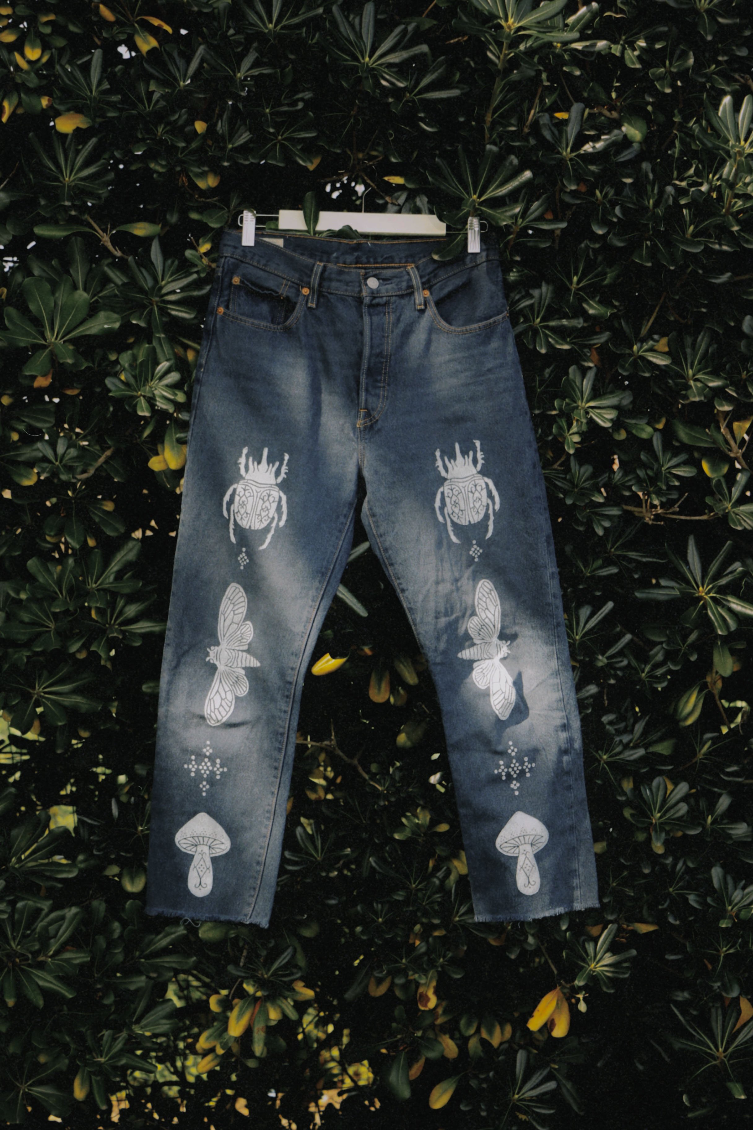 dclassic 2026-03-03 1513160BA8E3D0F54E.jpg