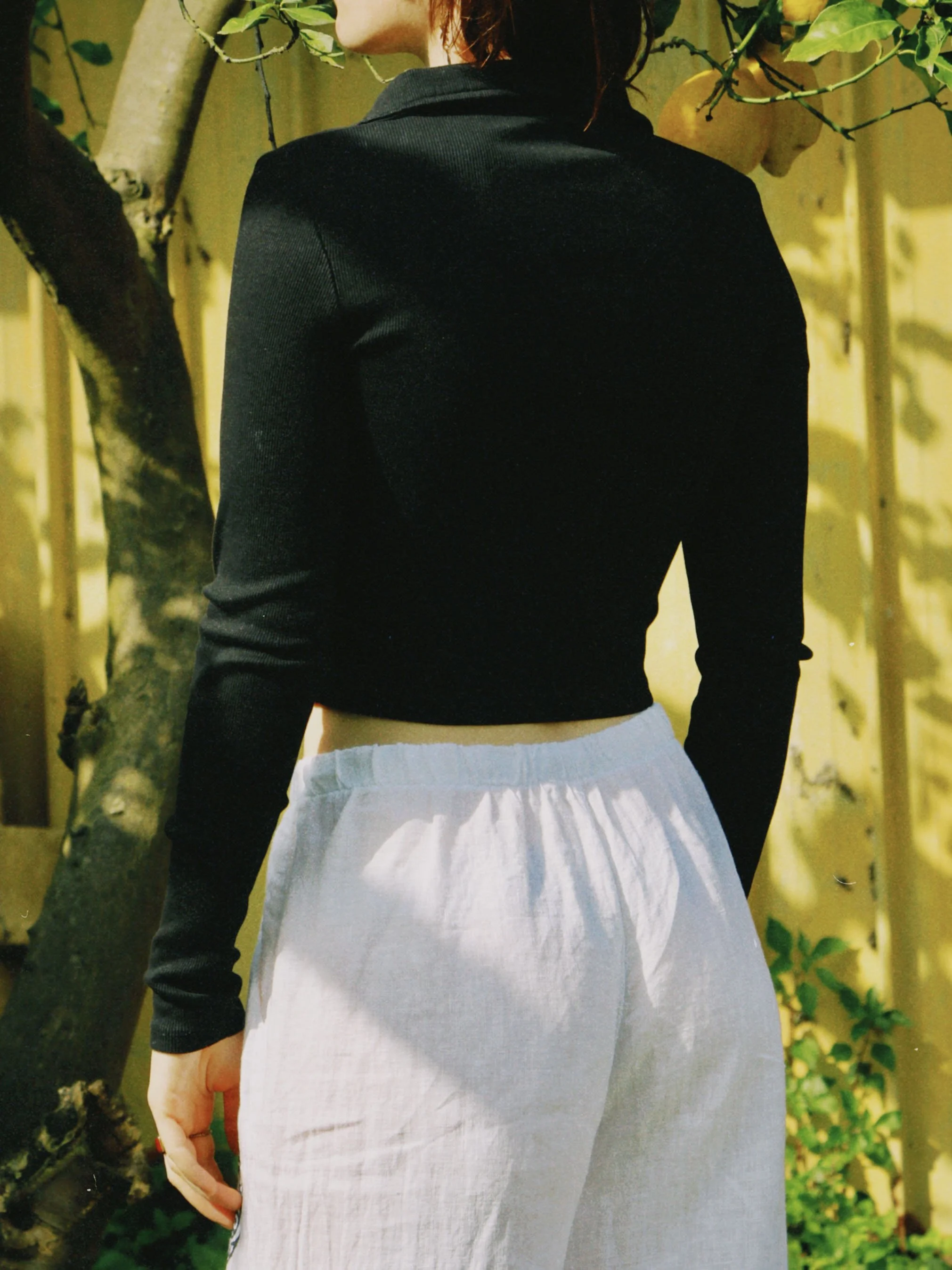 dclassic 2026-03-03 150246671F8168ADB0.JPG