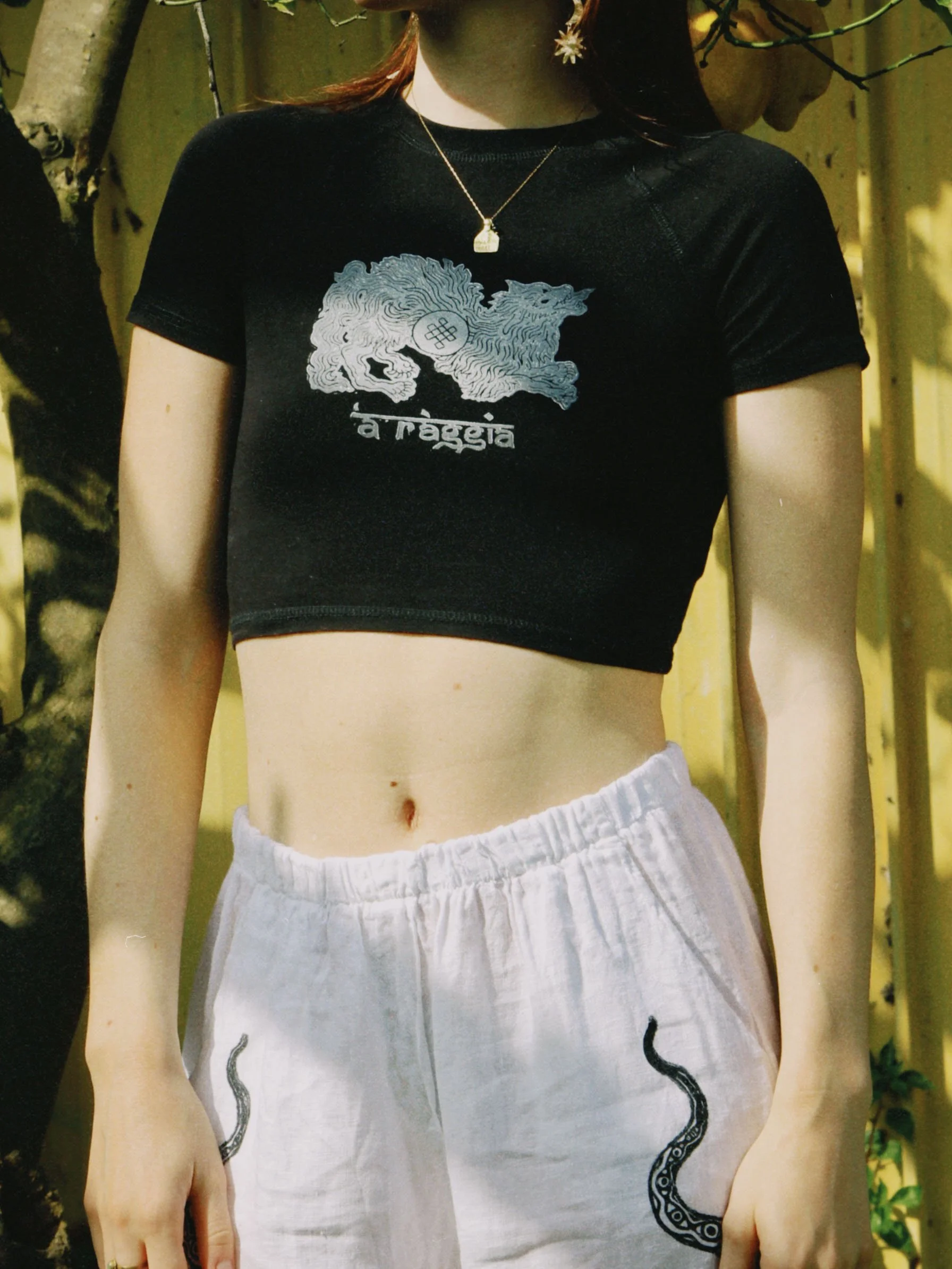 dclassic 2026-03-03 15072401FB7CF35A12.JPG