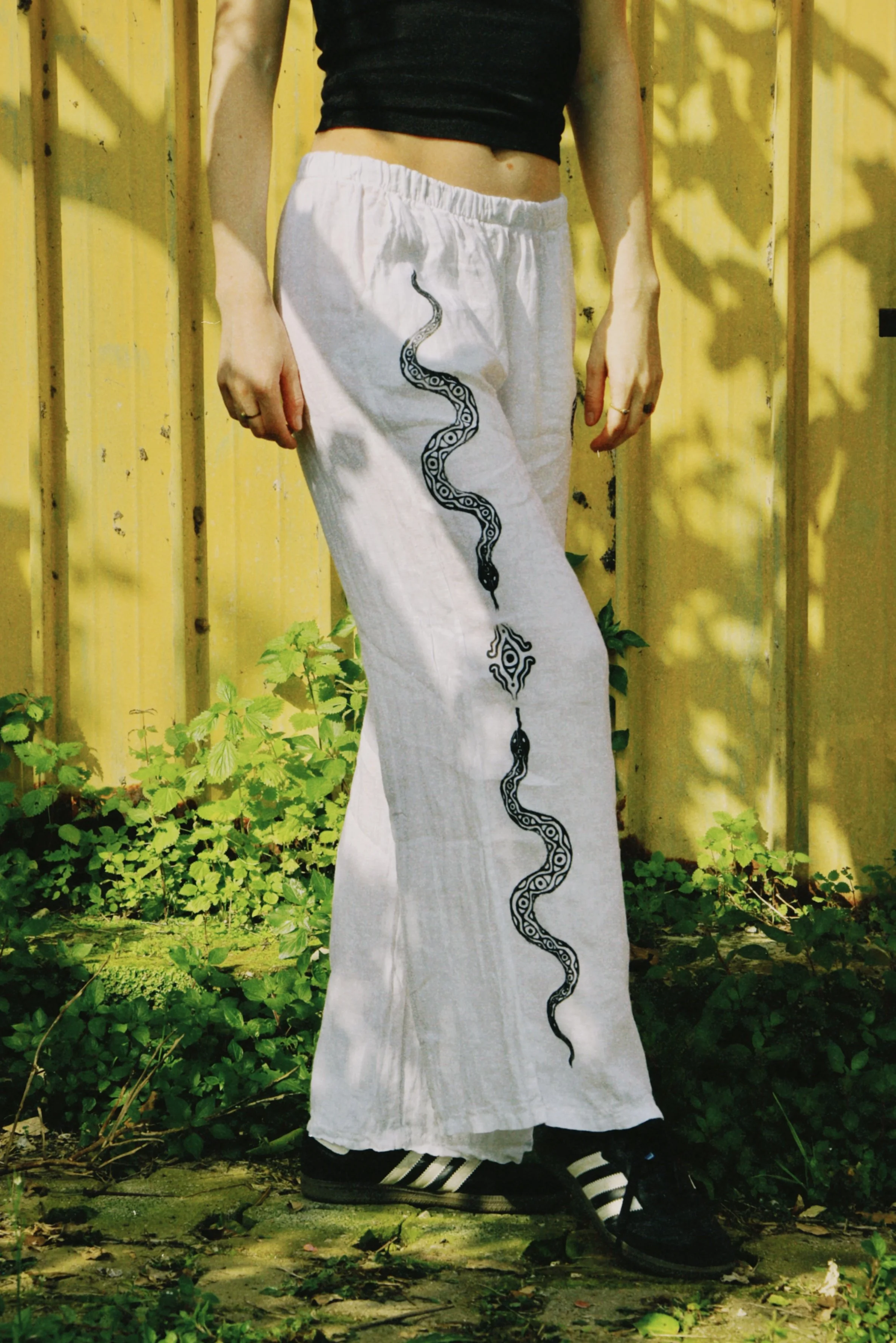 dclassic 2026-03-03 1447487C663B02C2F7.JPG