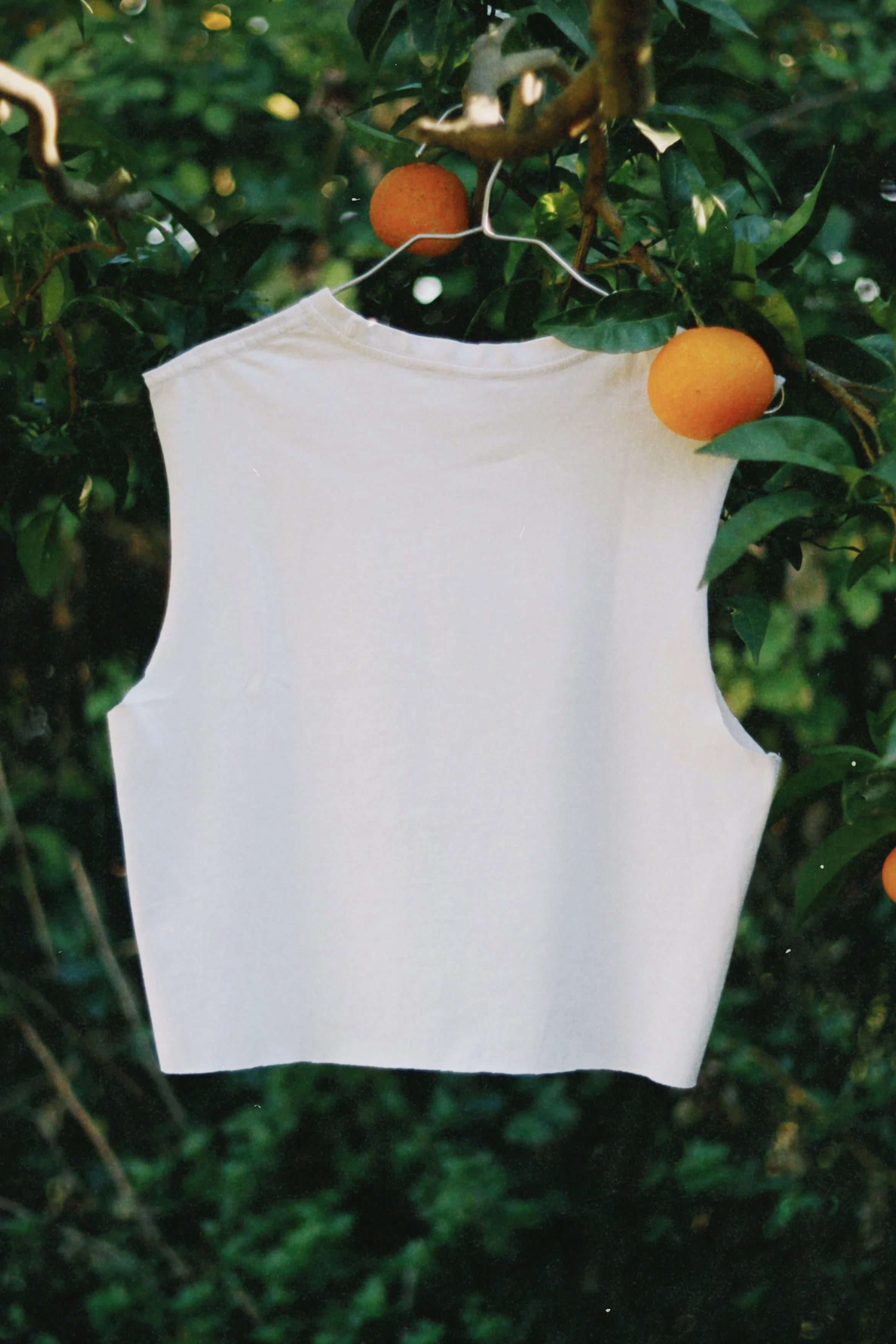 dclassic 2025-11-13 124314.428.jpg